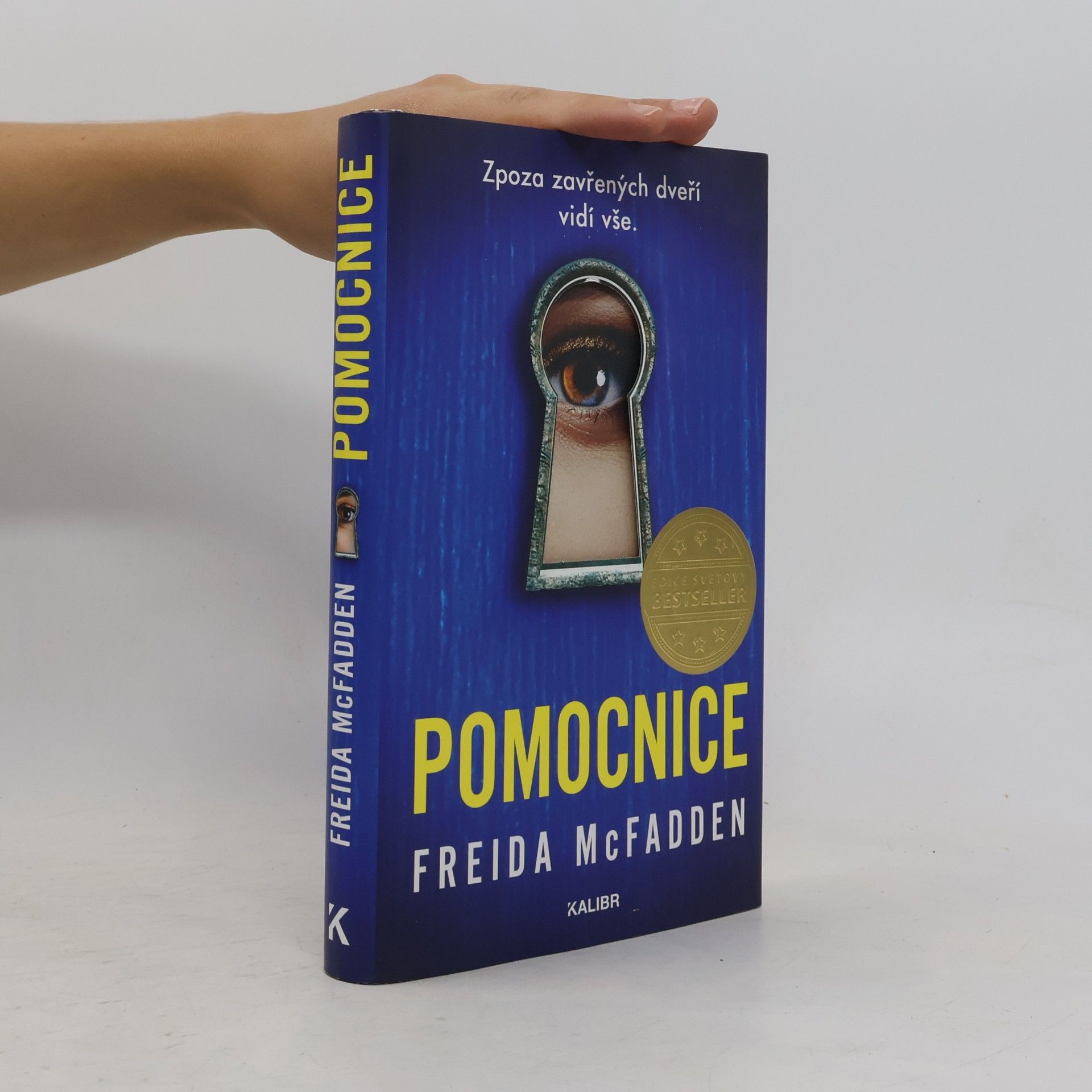 Freida McFadden Pomocnice