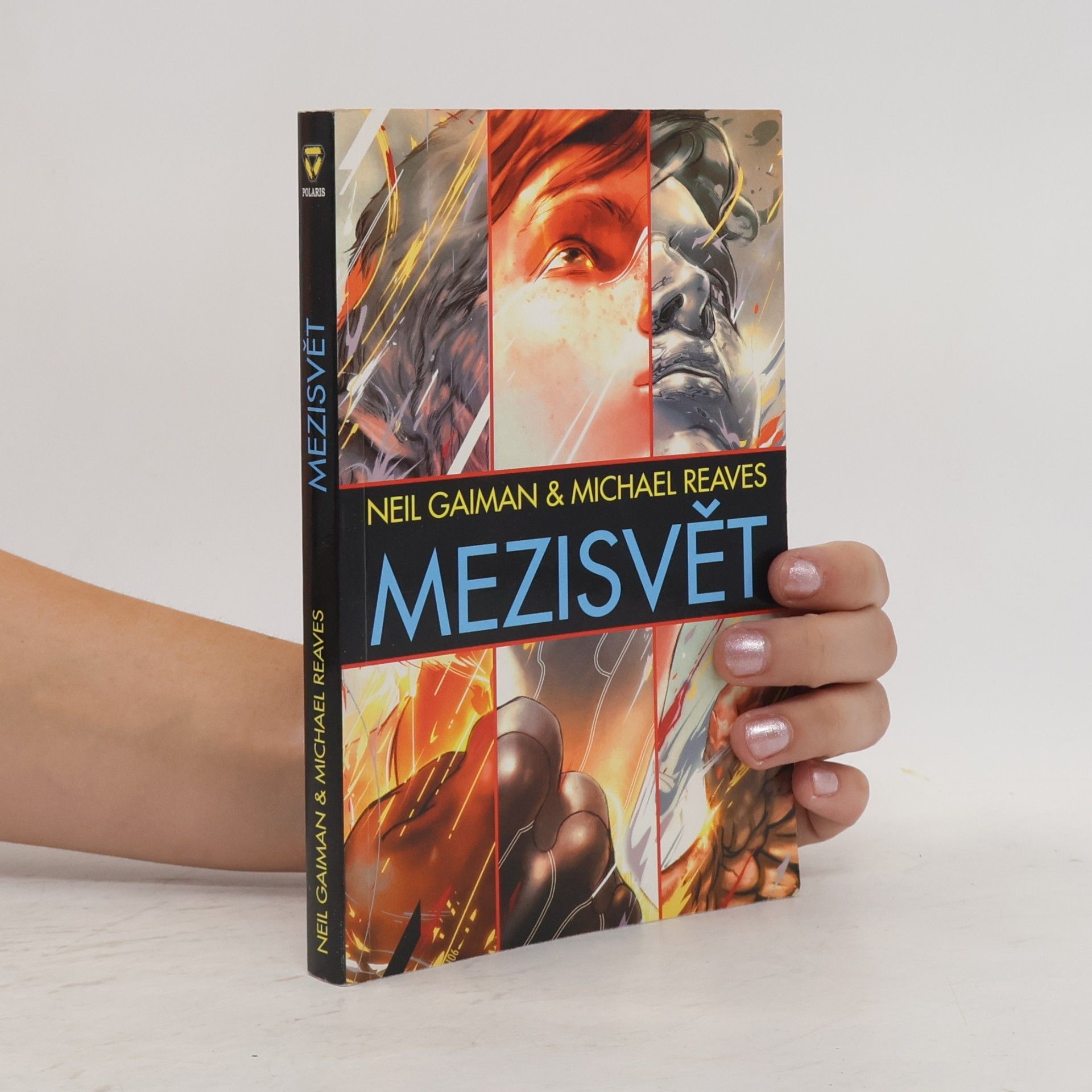 Neil Gaiman Mezisvět