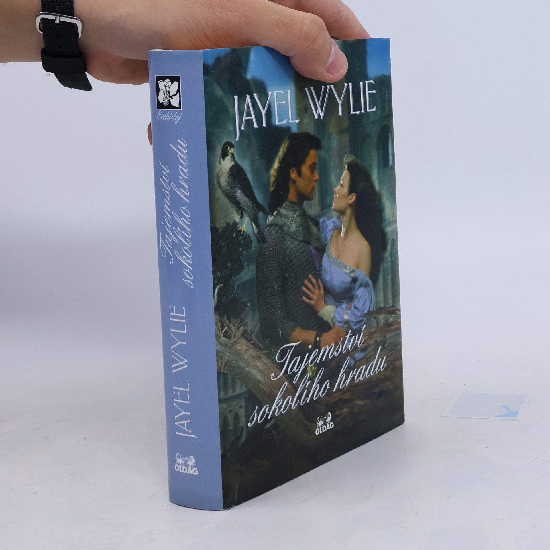 Jayel Wylie Tajemství sokolího hradu
