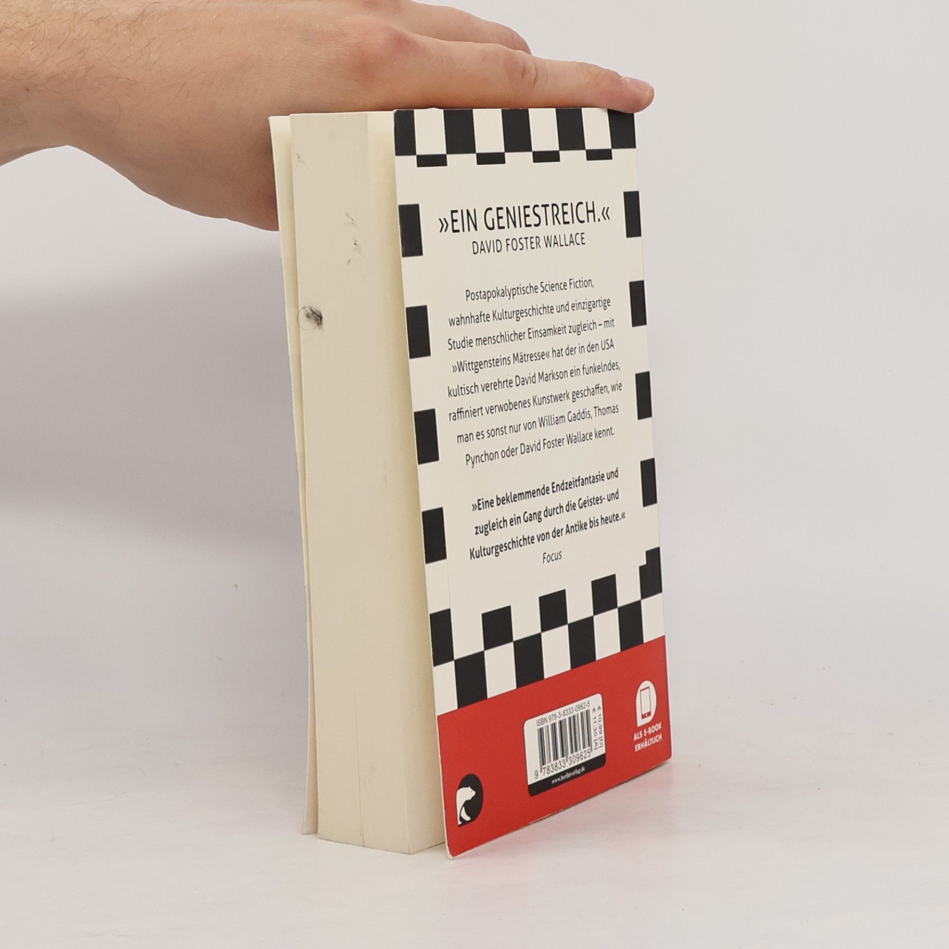 David Markson Wittgensteins Mätresse