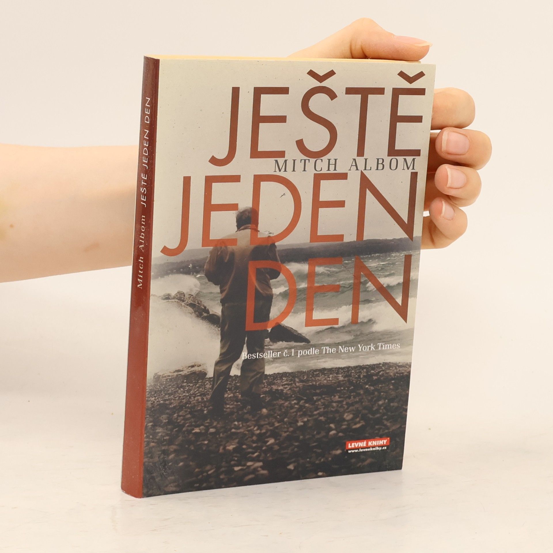 Mitch Albom Ještě jeden den