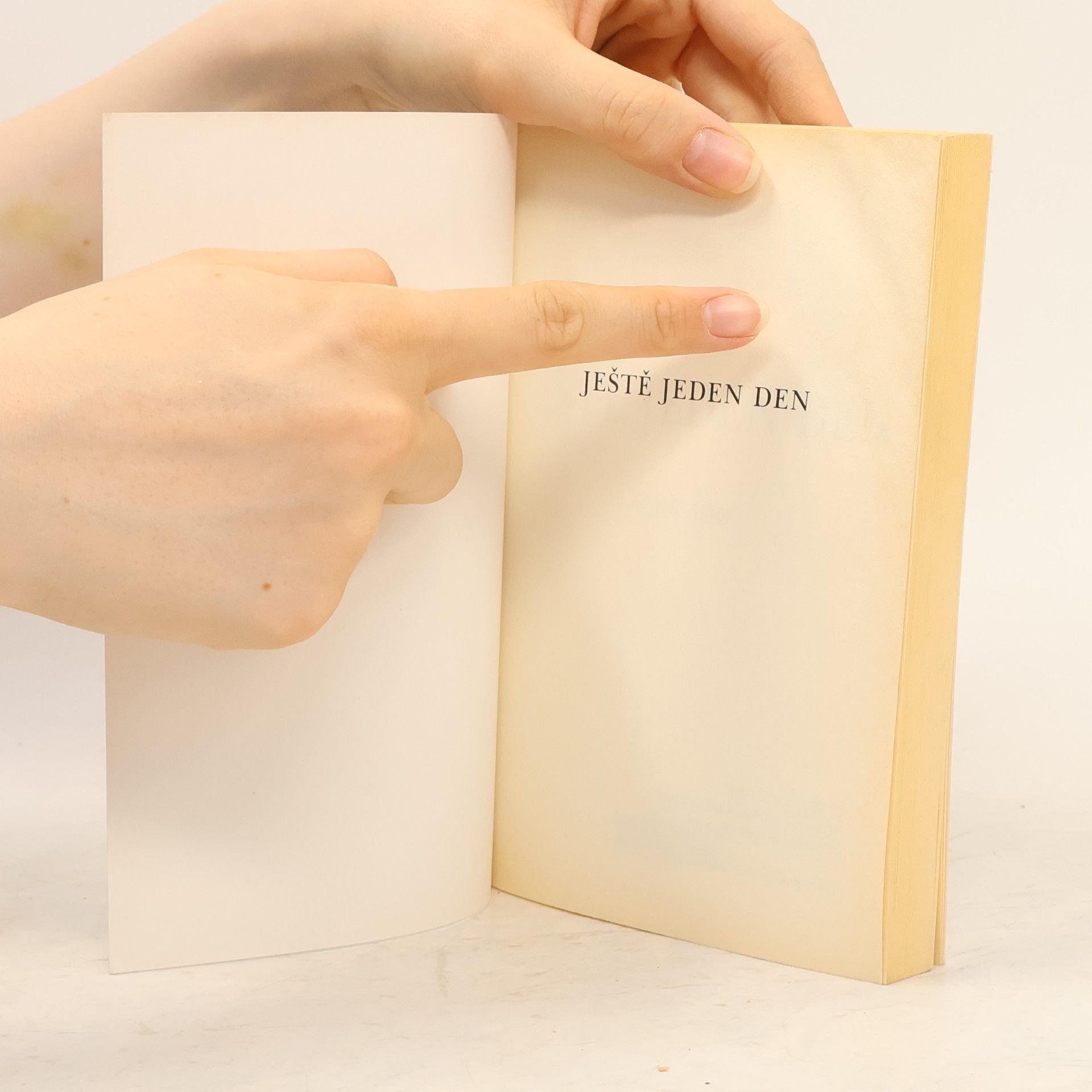 Mitch Albom Ještě jeden den