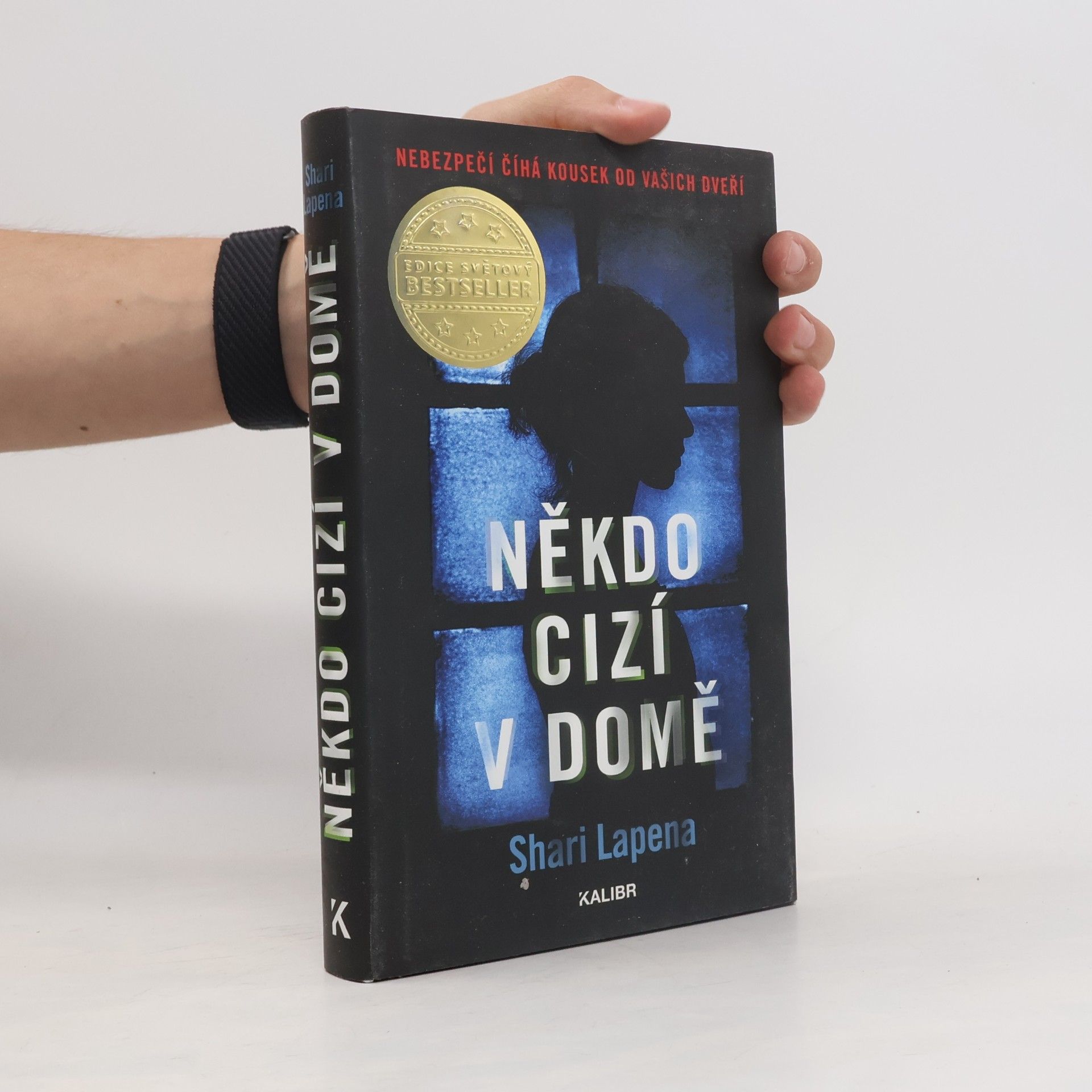 Shari Lapena Někdo cizí v domě