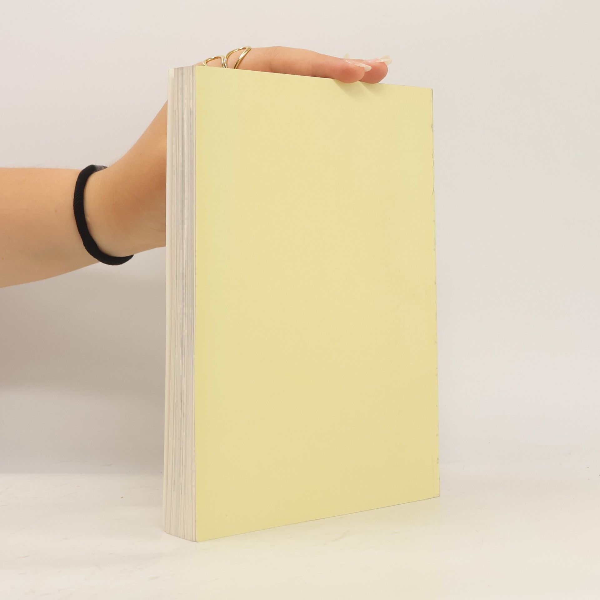 Autorenkollektiv Museum für Ostasiatische Kunst Berlin