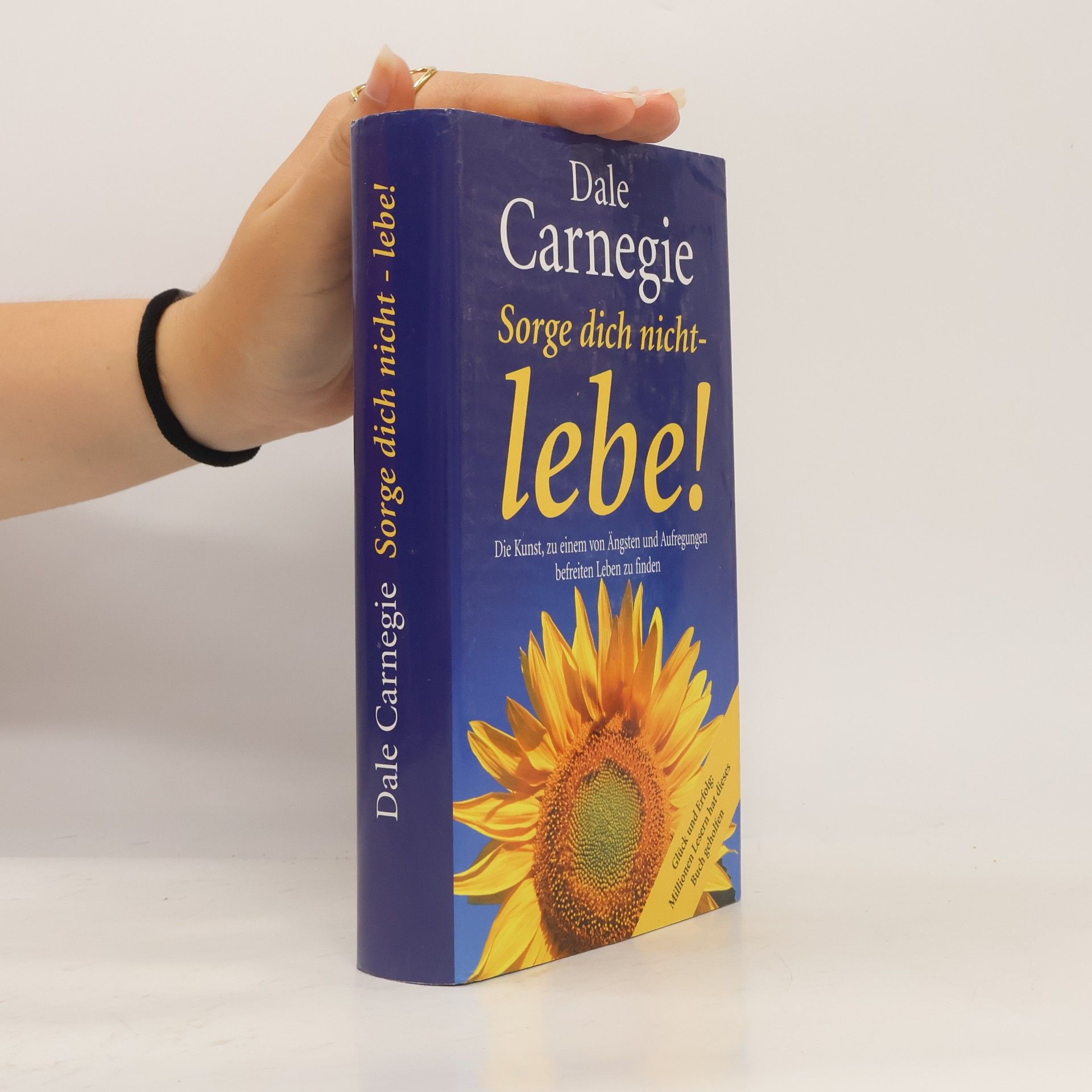 Dale Carnegie Sorge dich nicht - lebe!