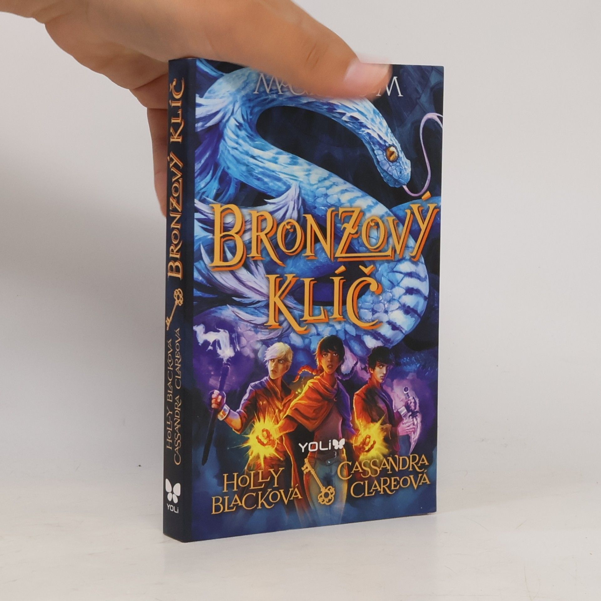 Magisterium 3. Bronzový klíč