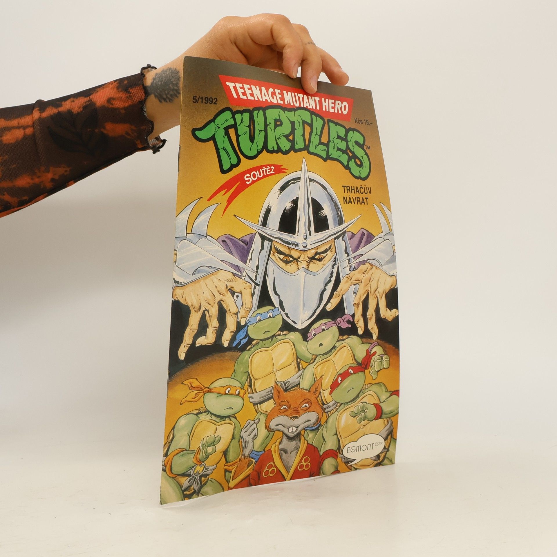 Dave Garcia Teenage Mutant Hero Turtles #05