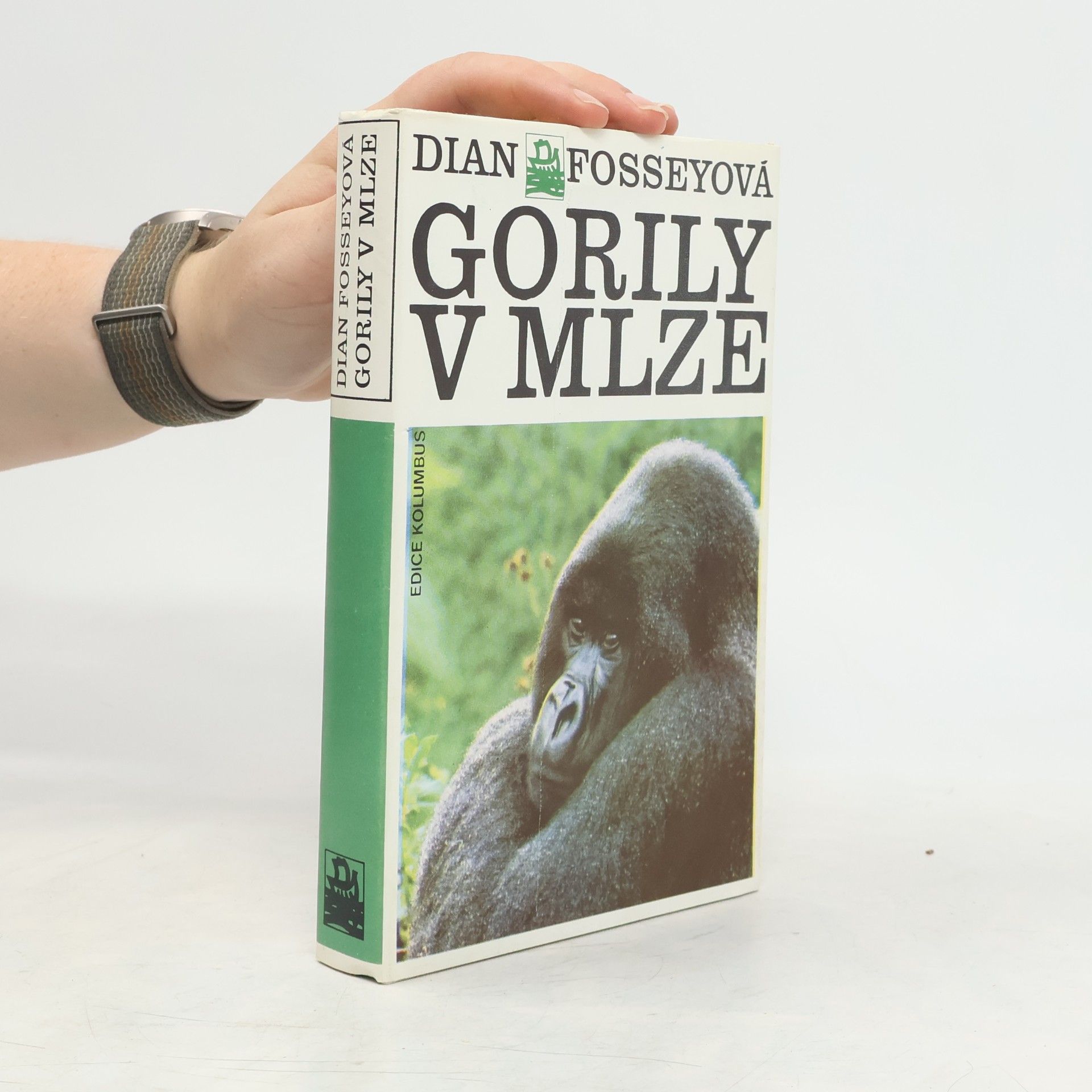 Dian Fossey Gorily v mlze