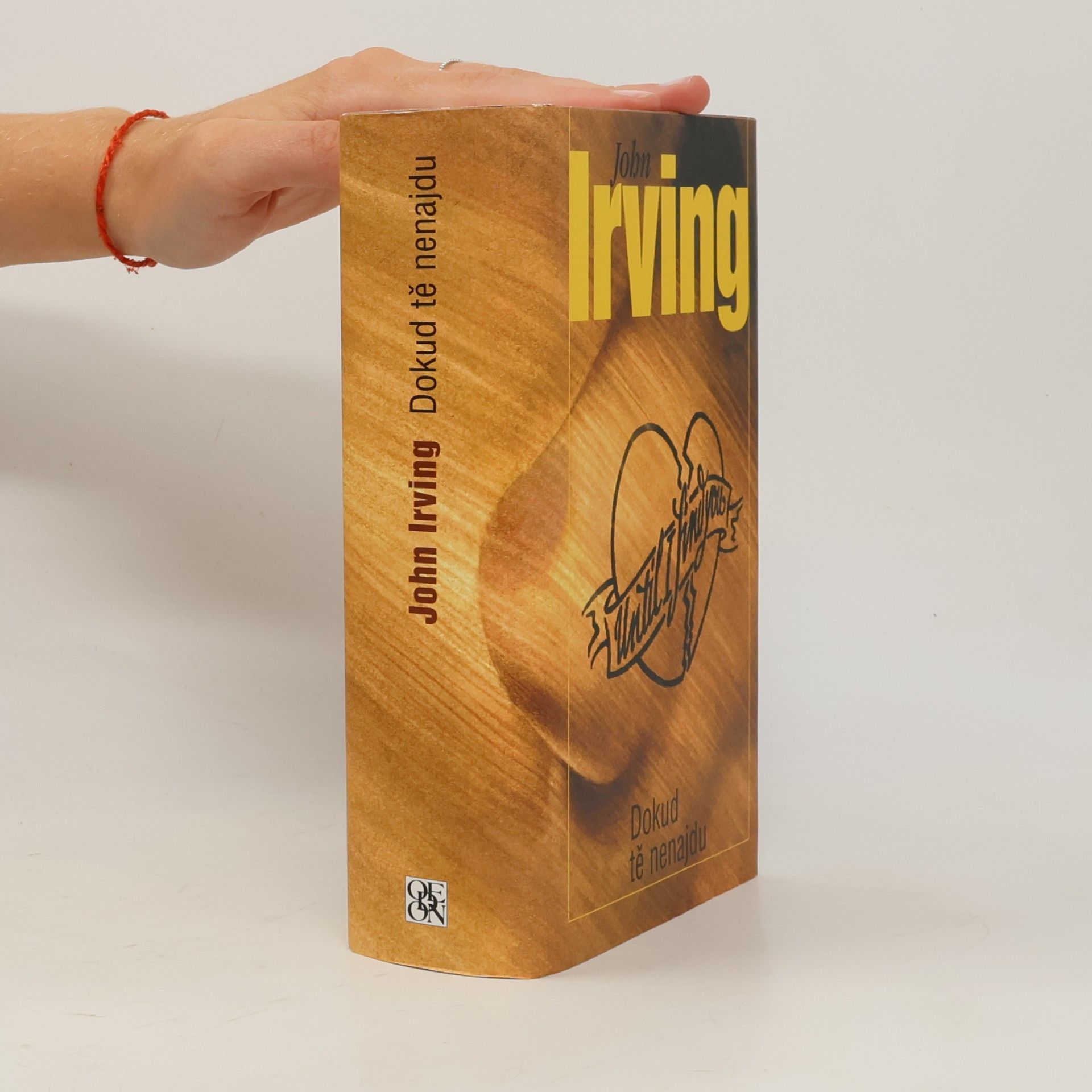 John Irving Dokud tě nenajdu