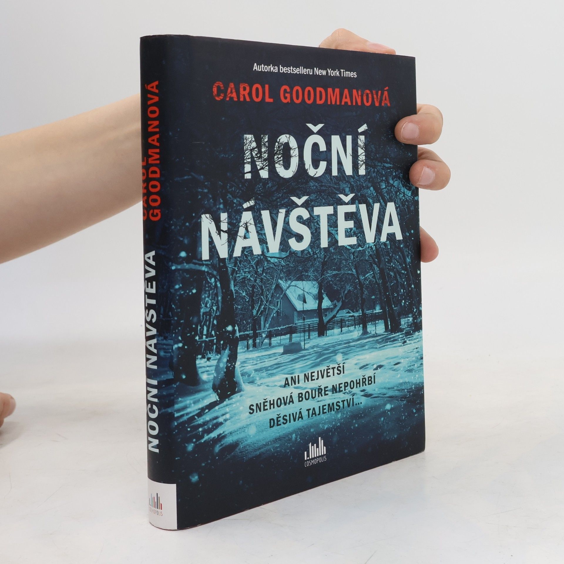 Lee Carroll Noční návštěva