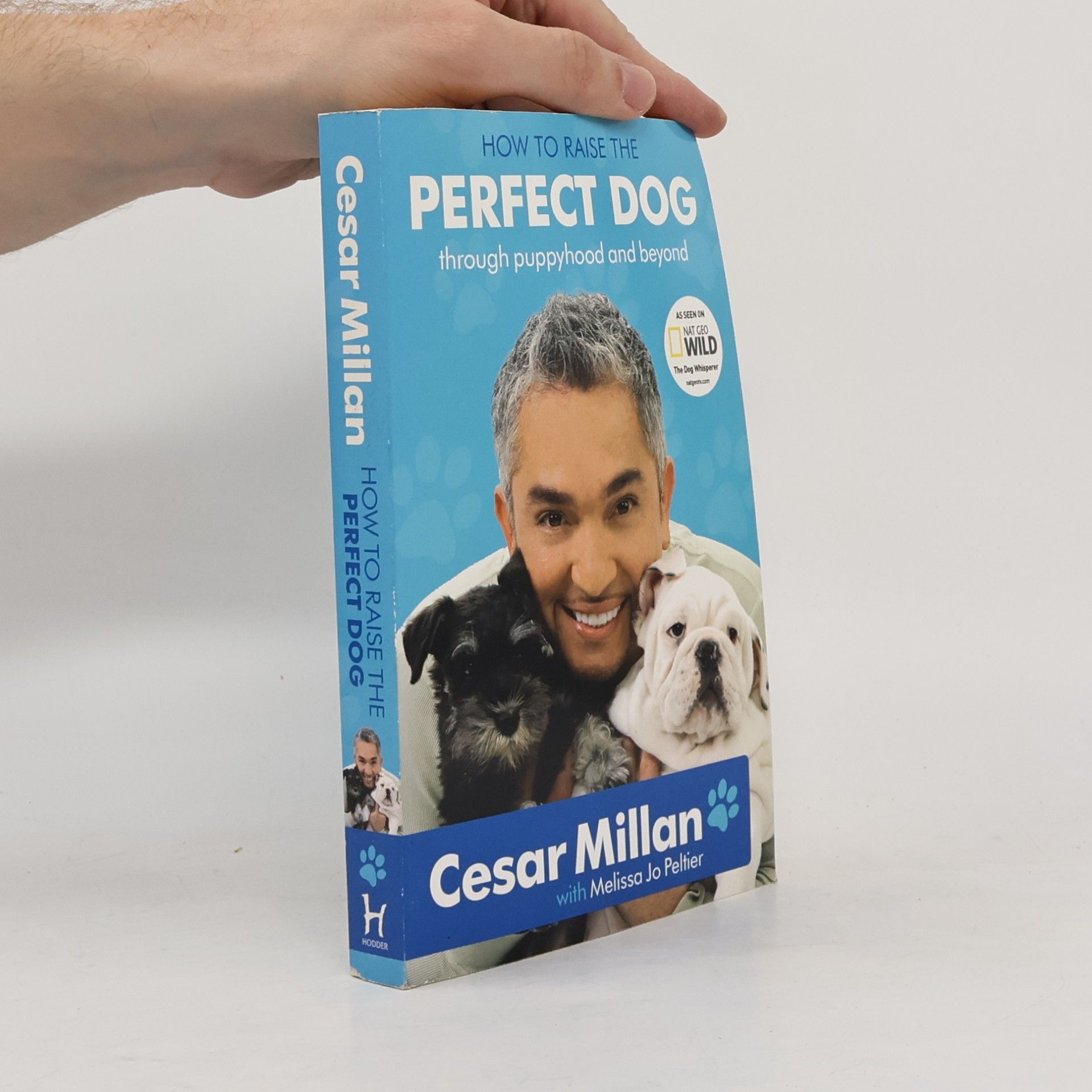 Cesar Millan How to Raise the Perfect Dog