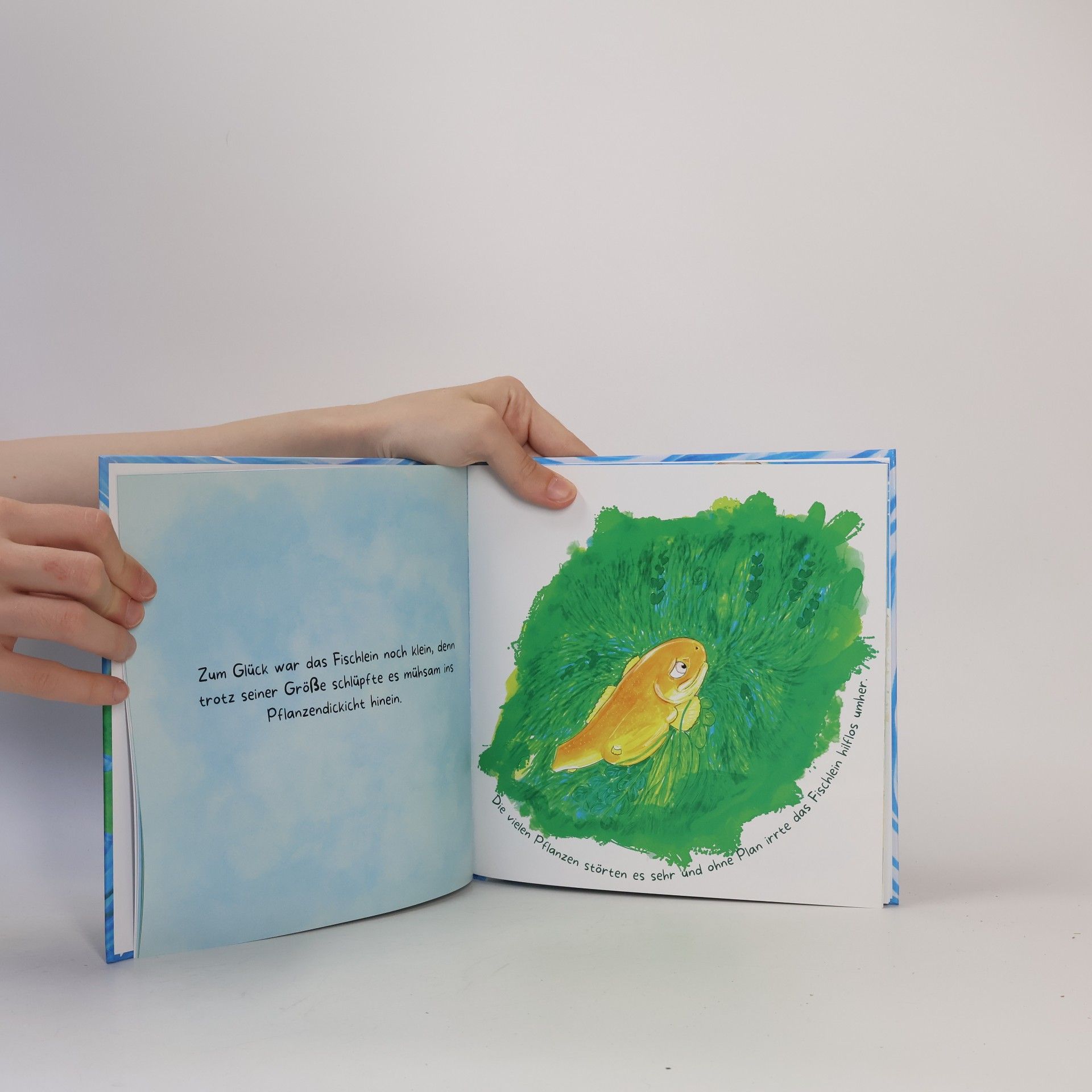 Sabine Urtel Der kleine Fisch sucht sein Zuhause