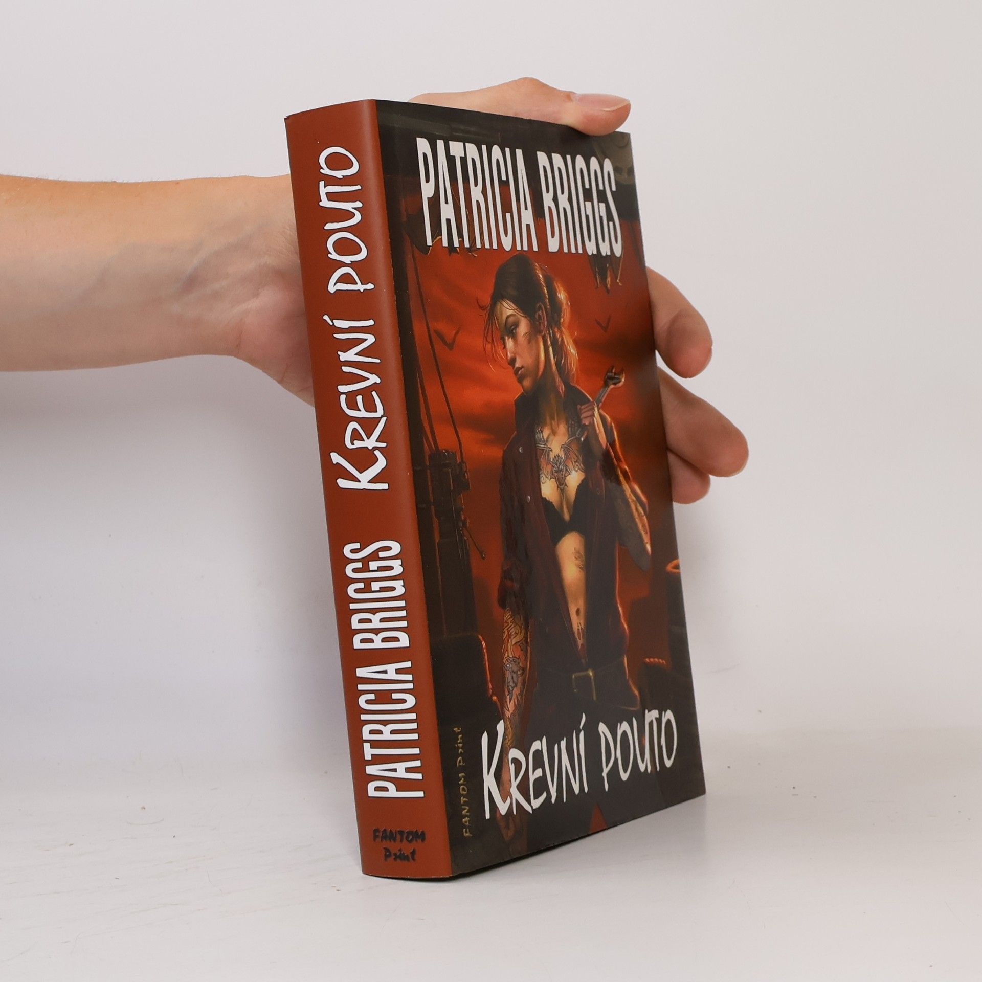 Patricia Briggs Krevní pouto