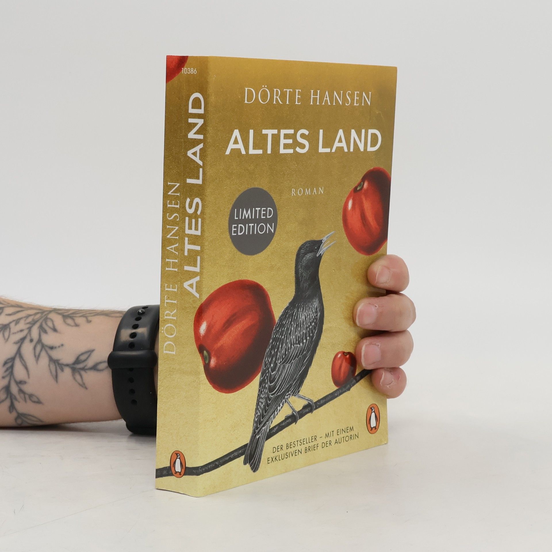 Dörte Hansen Altes Land