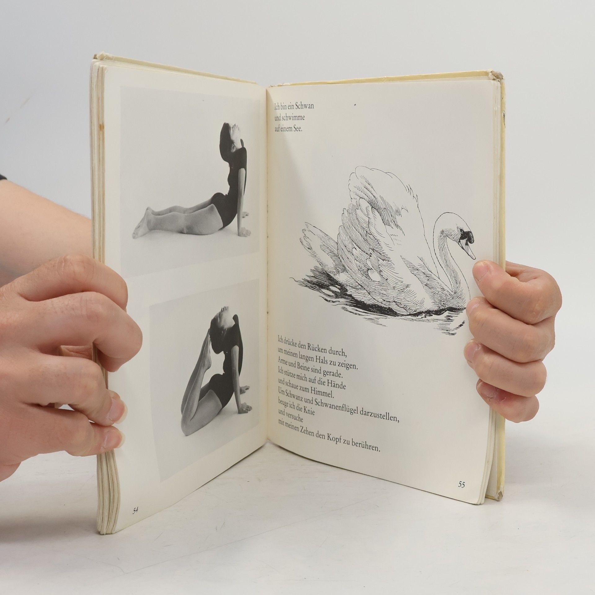 Rachel Carr Erstes Yoga mit Kindern. Sei ein Ball, sei ein Baum, sei ein Vogel, sei ein Frosch