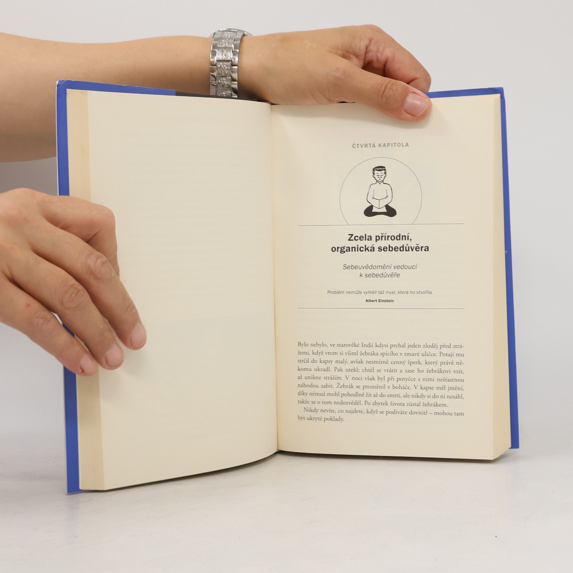 ChadeMeng Tan Hledej ve svém nitru