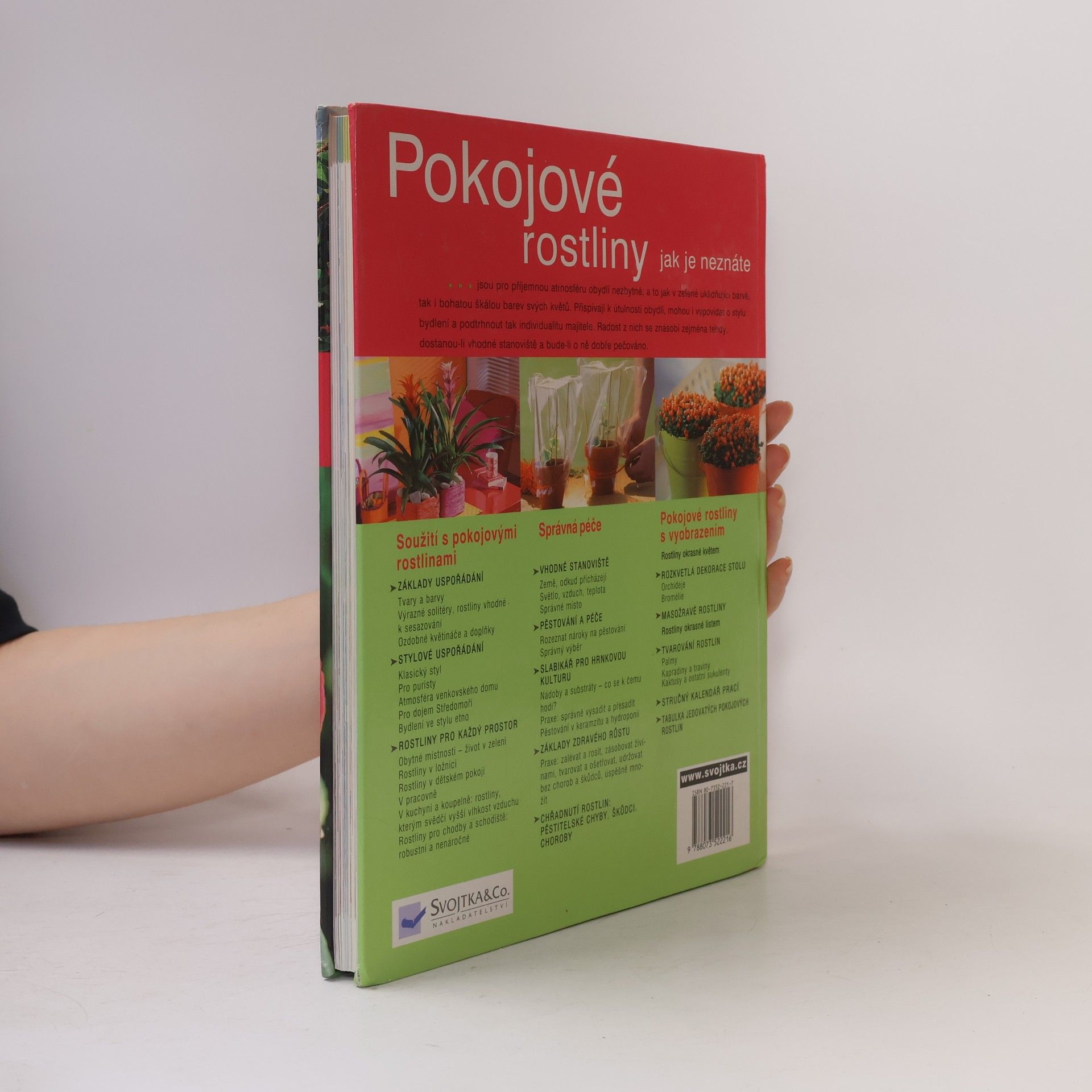 Karin Greiner Pokojové rostliny jak je neznáte