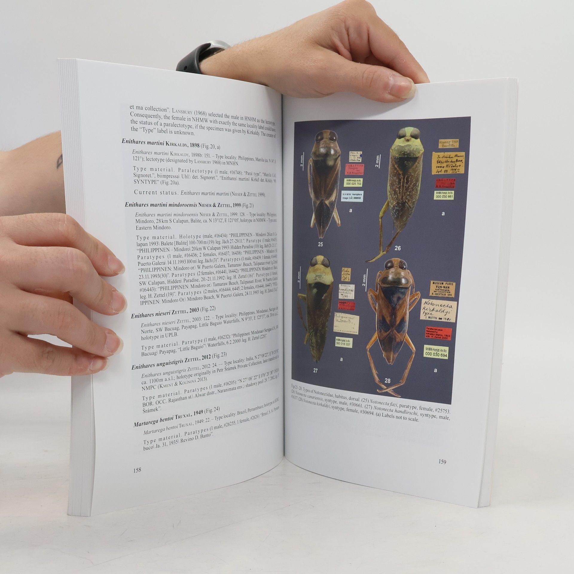 kolektiv Zeitschrift der Arbeitsgemeinschaft Österreichischer Entomologen 77. Band