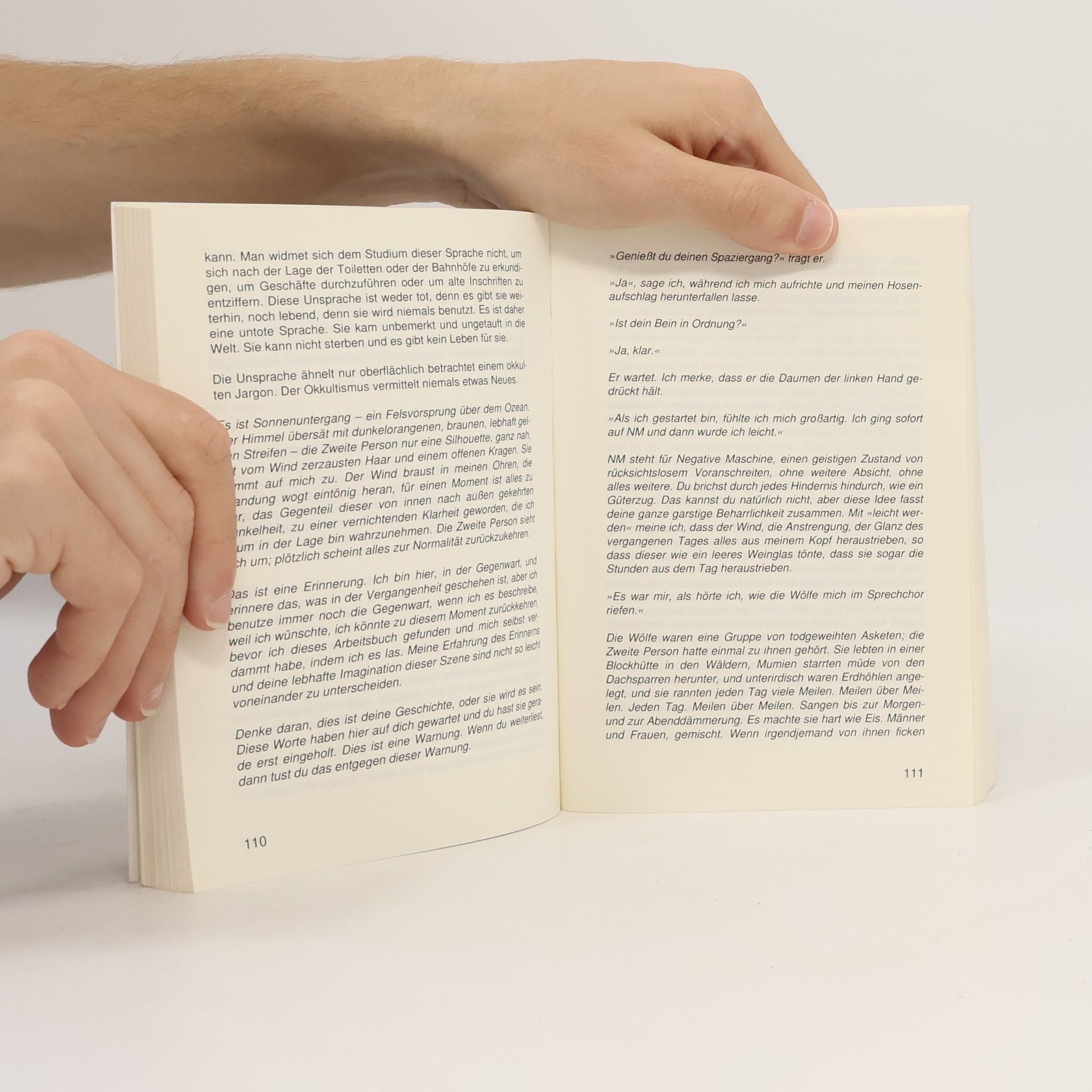 Armen Avanessian Abyssus intellectualis