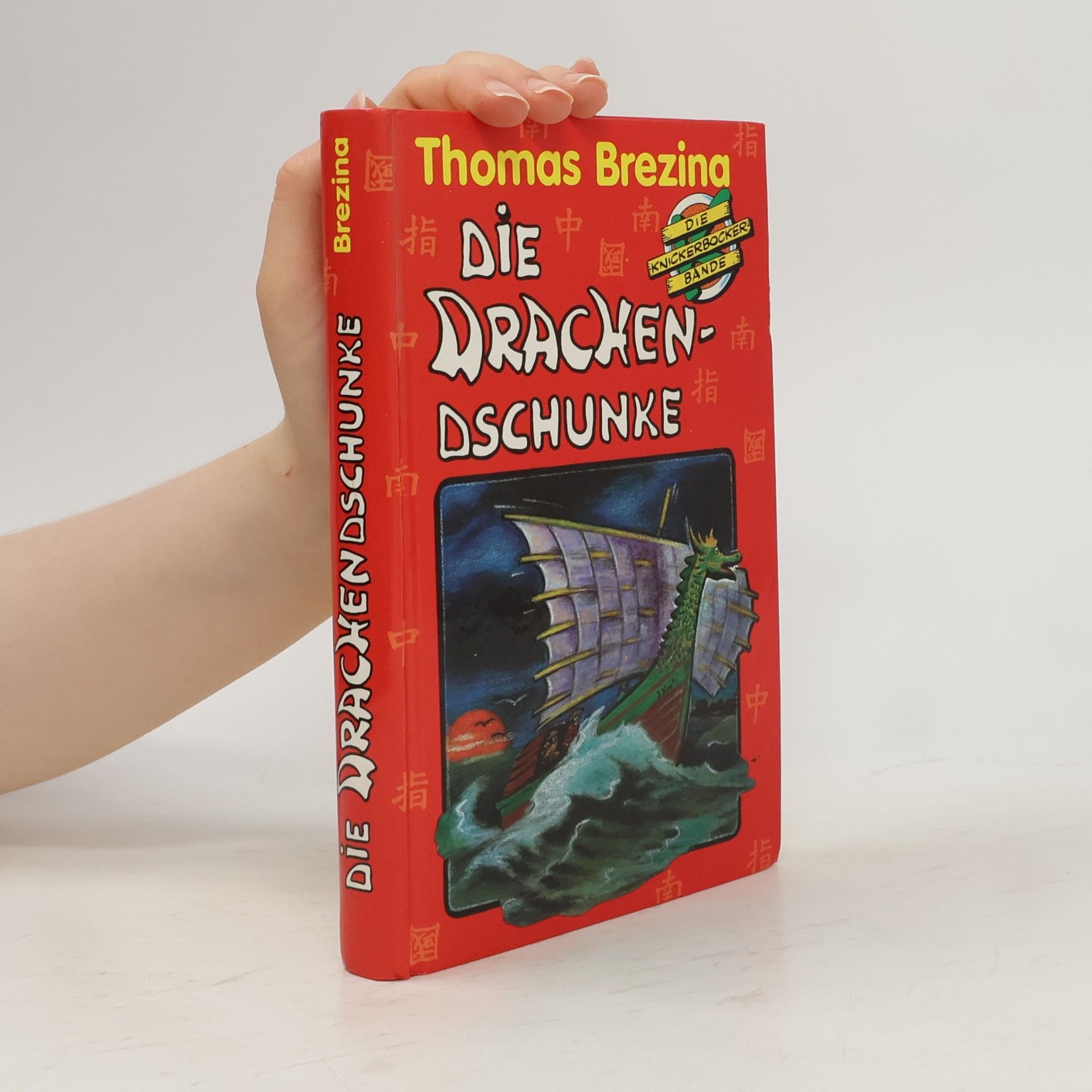 Thomas Brezina Die Drachen-Dschunke