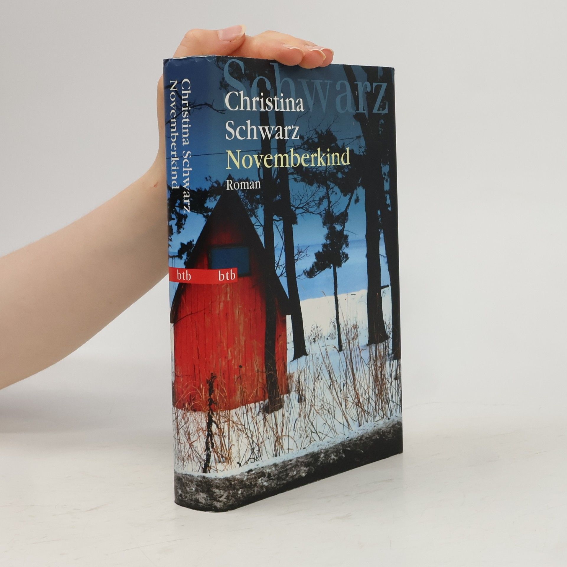 Christina Schwarz Novemberkind