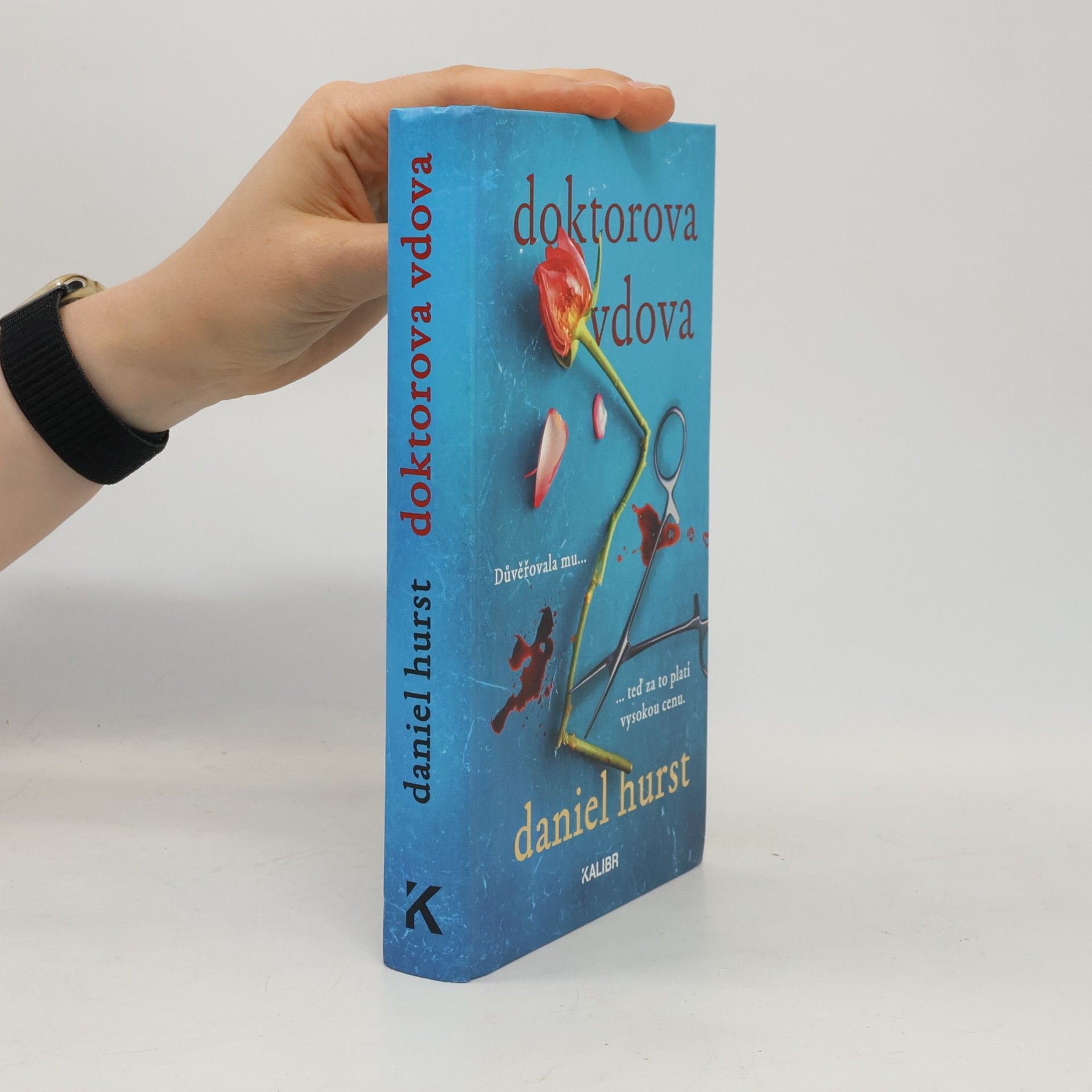 Daniel Hürst Doktorova vdova