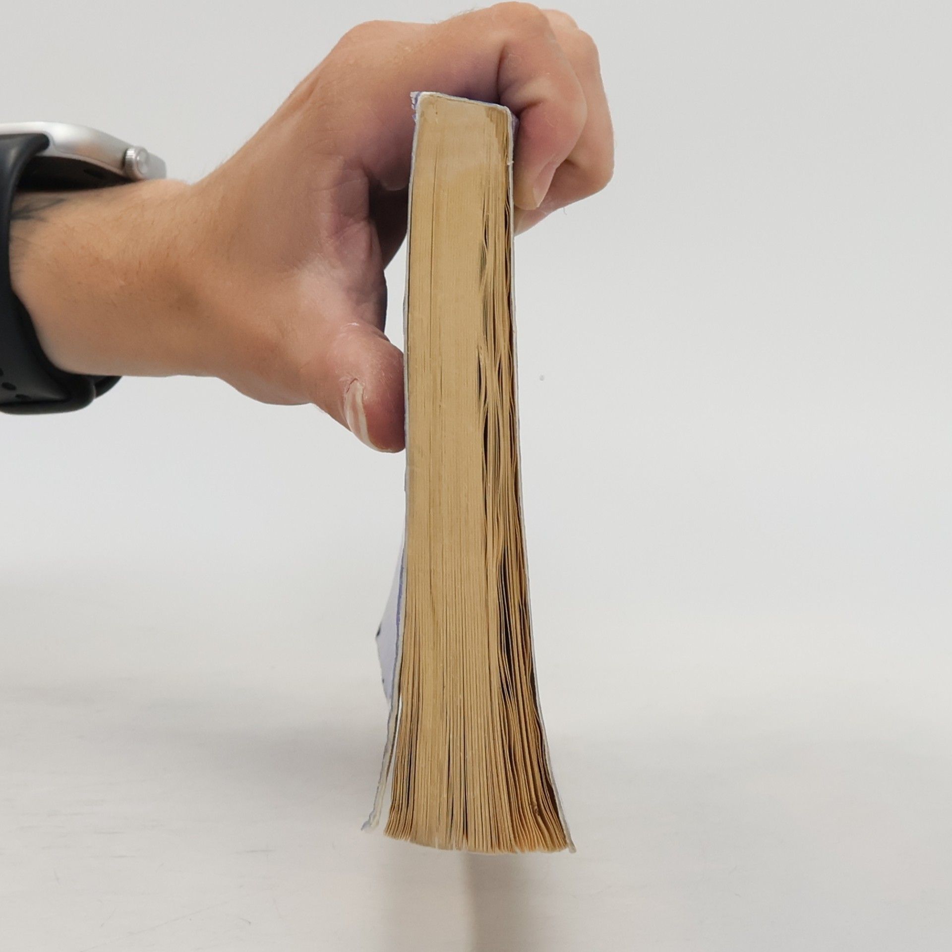 Nossrat Peseschkian Psychotherapie des Alltagslebens