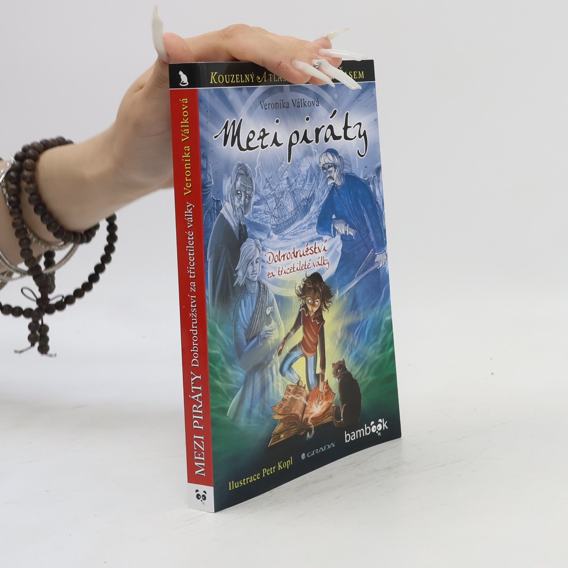 Mezi piráty. Dobrodružství za třicetileté války