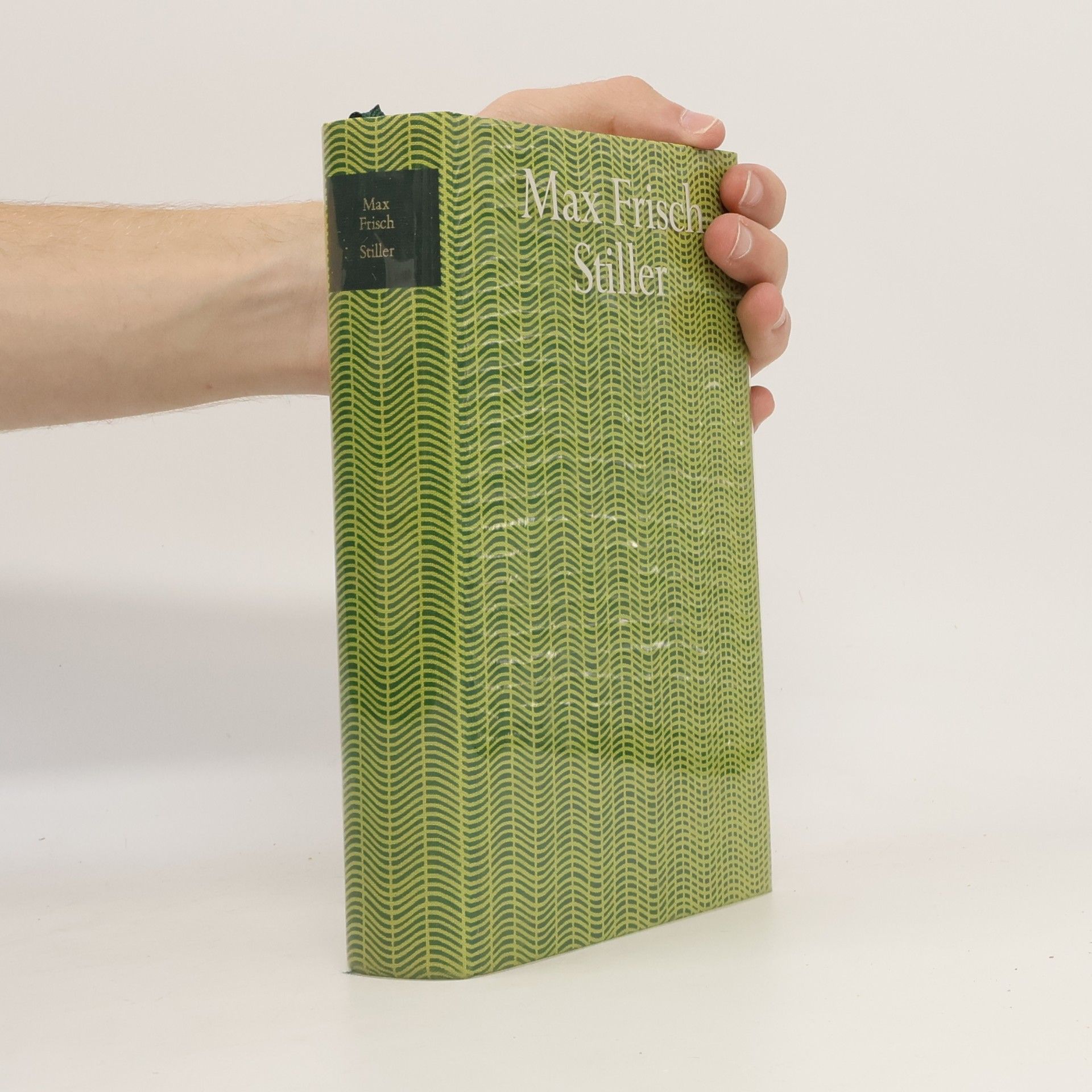 Max Frisch Stiller