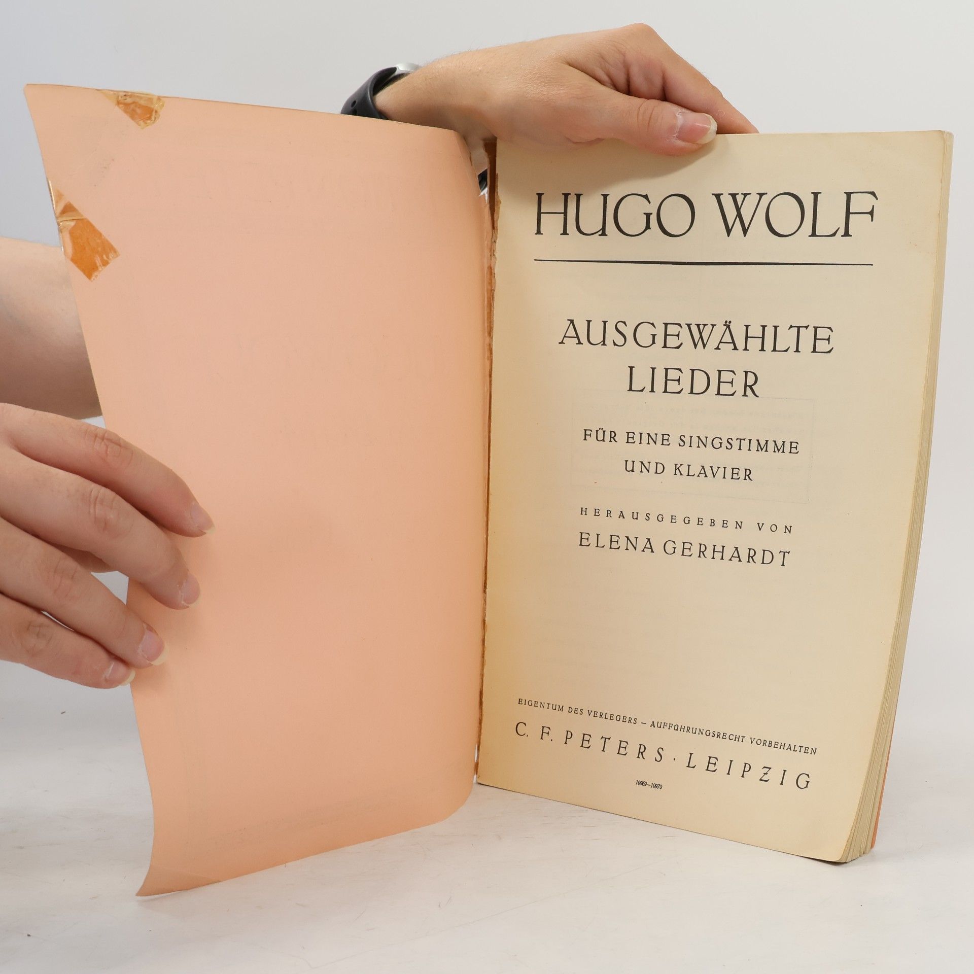 Hugo Wolf Album