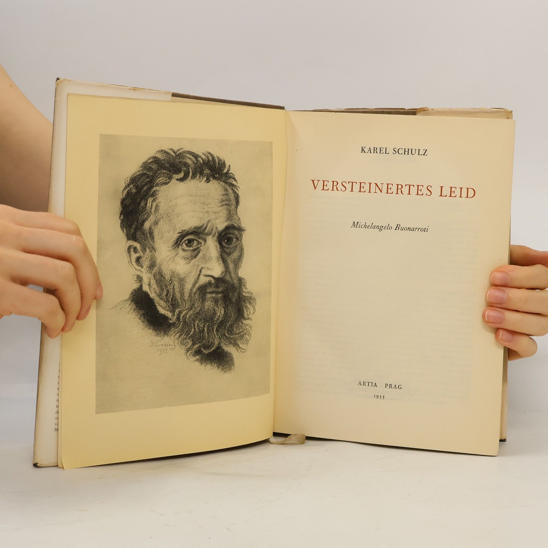 Karel Schulz Versteinertes Leid