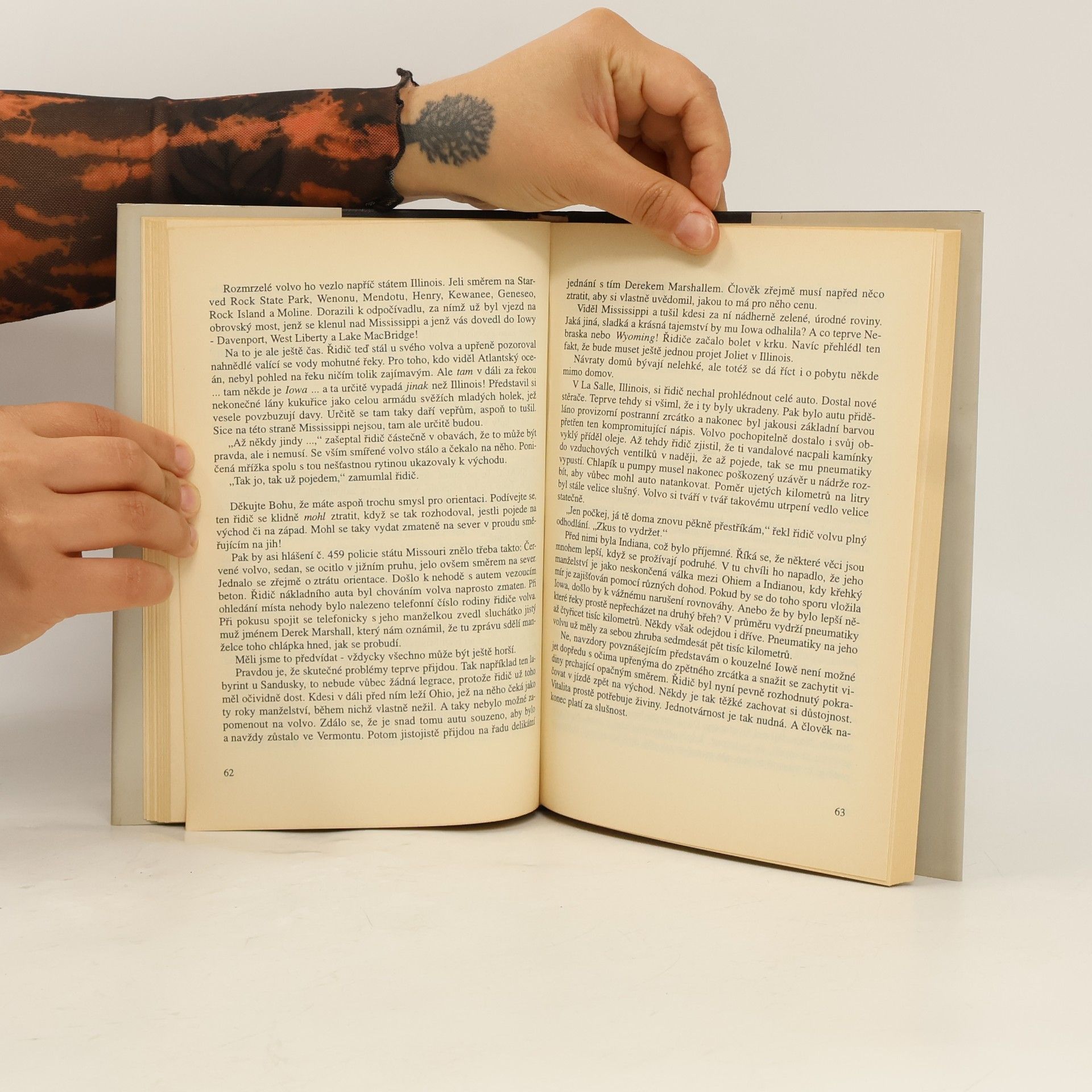 John Irving Pokus o záchranu Čuňáka Sneeda