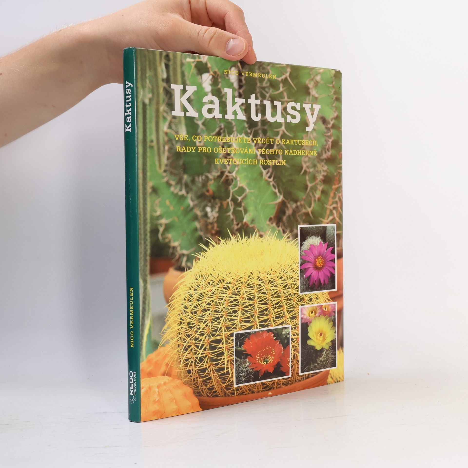 Nico Vermeulen Kaktusy