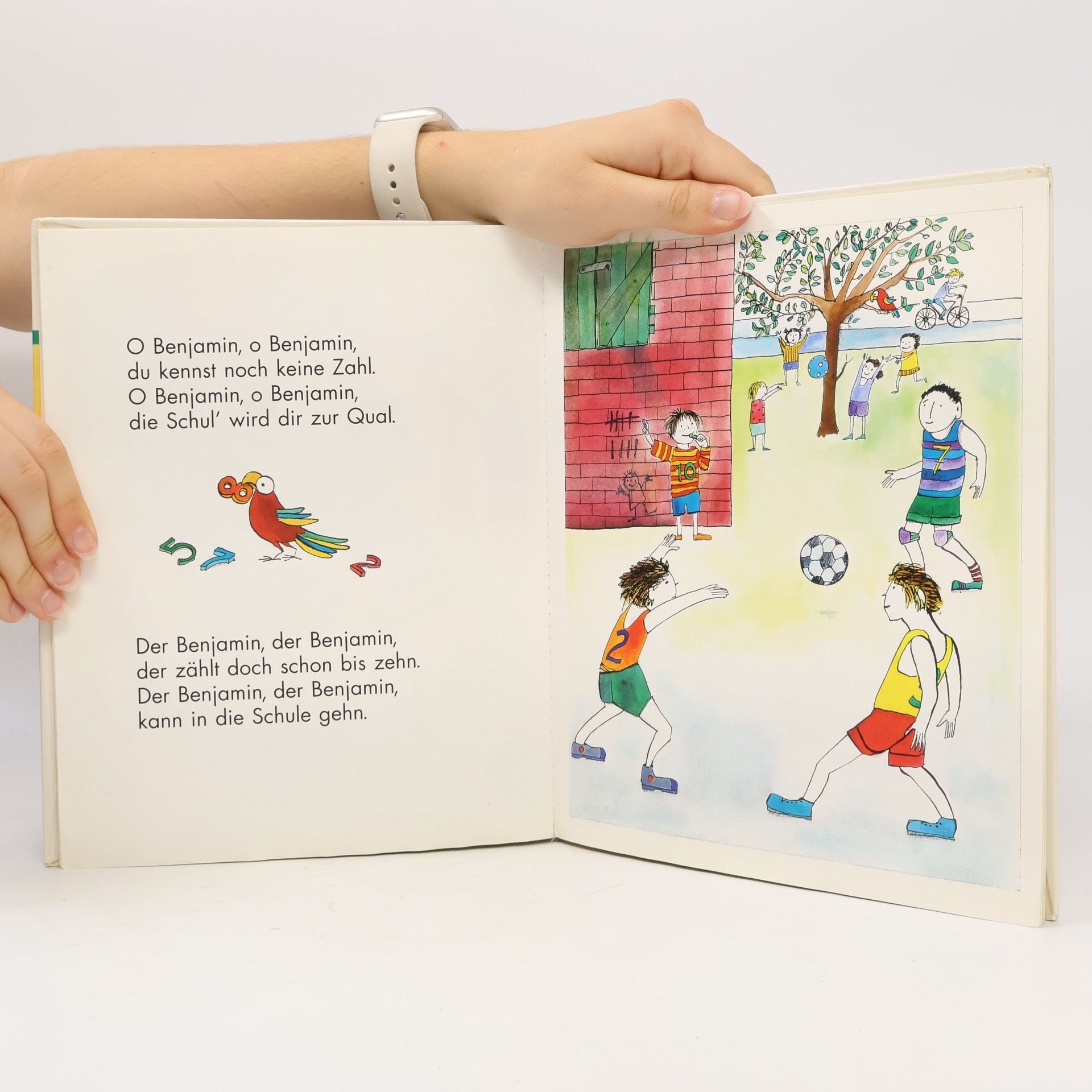 Annegret Ritter Ich will in die Schule: Bilderbuch