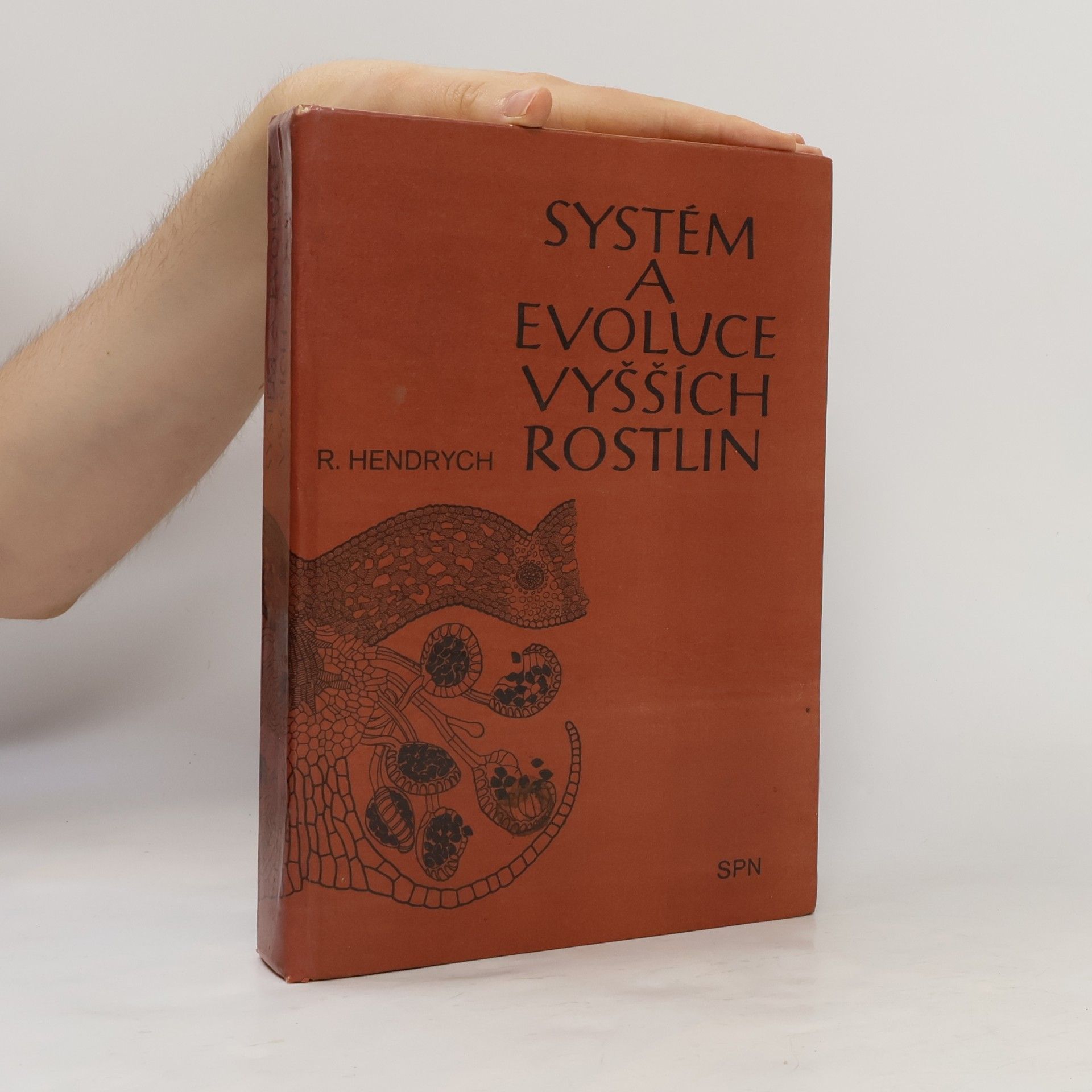 Radovan Hendrych Systém a evoluce vyšších rostlin