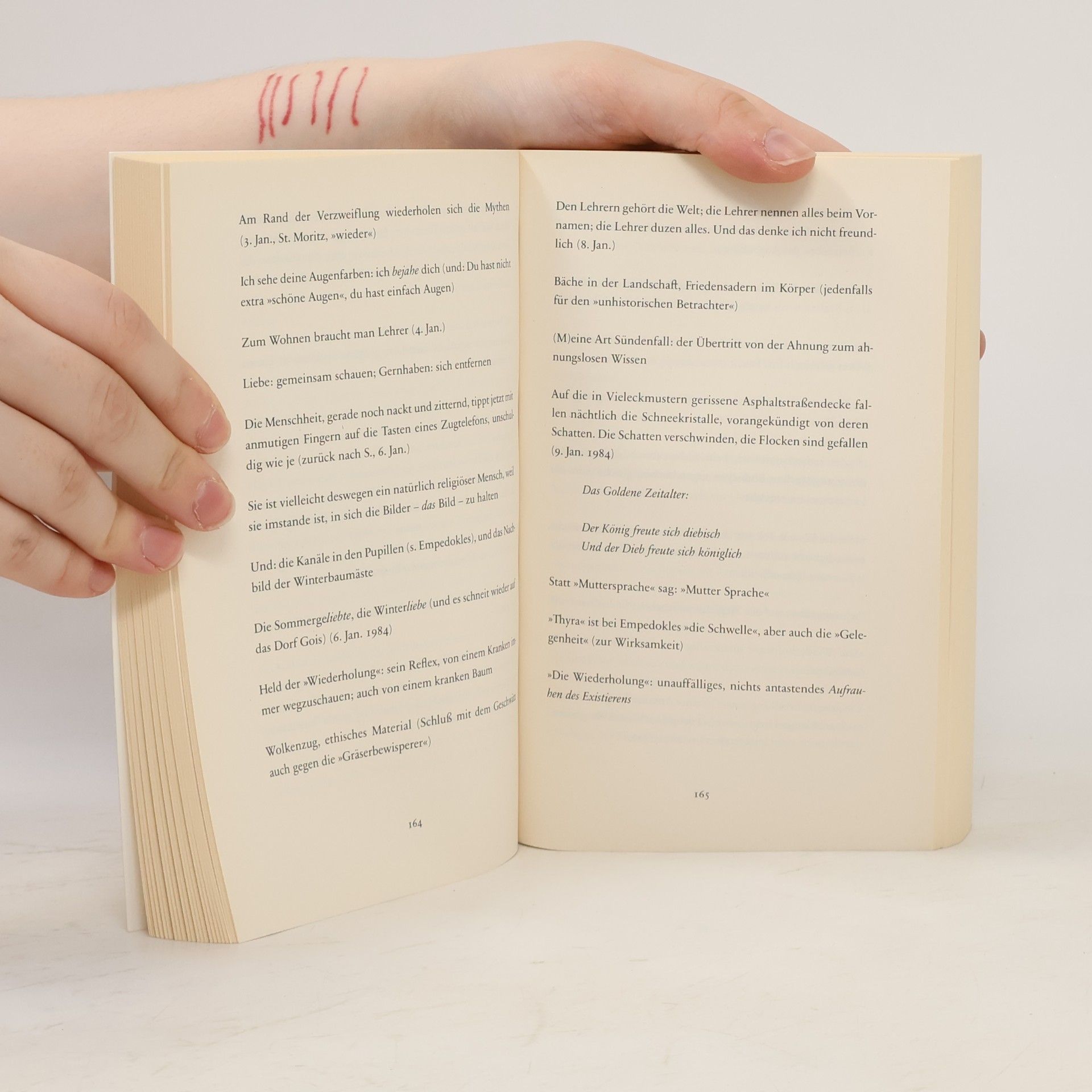 Peter Handke Am Felsfenster morgens (und andere Ortszeiten 1982-1987)