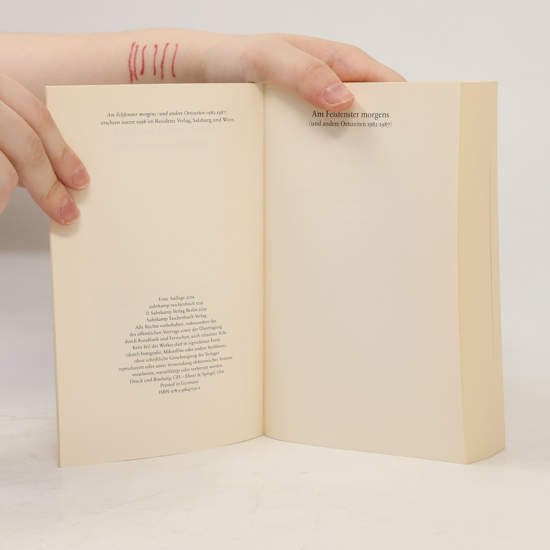 Peter Handke Am Felsfenster morgens (und andere Ortszeiten 1982-1987)