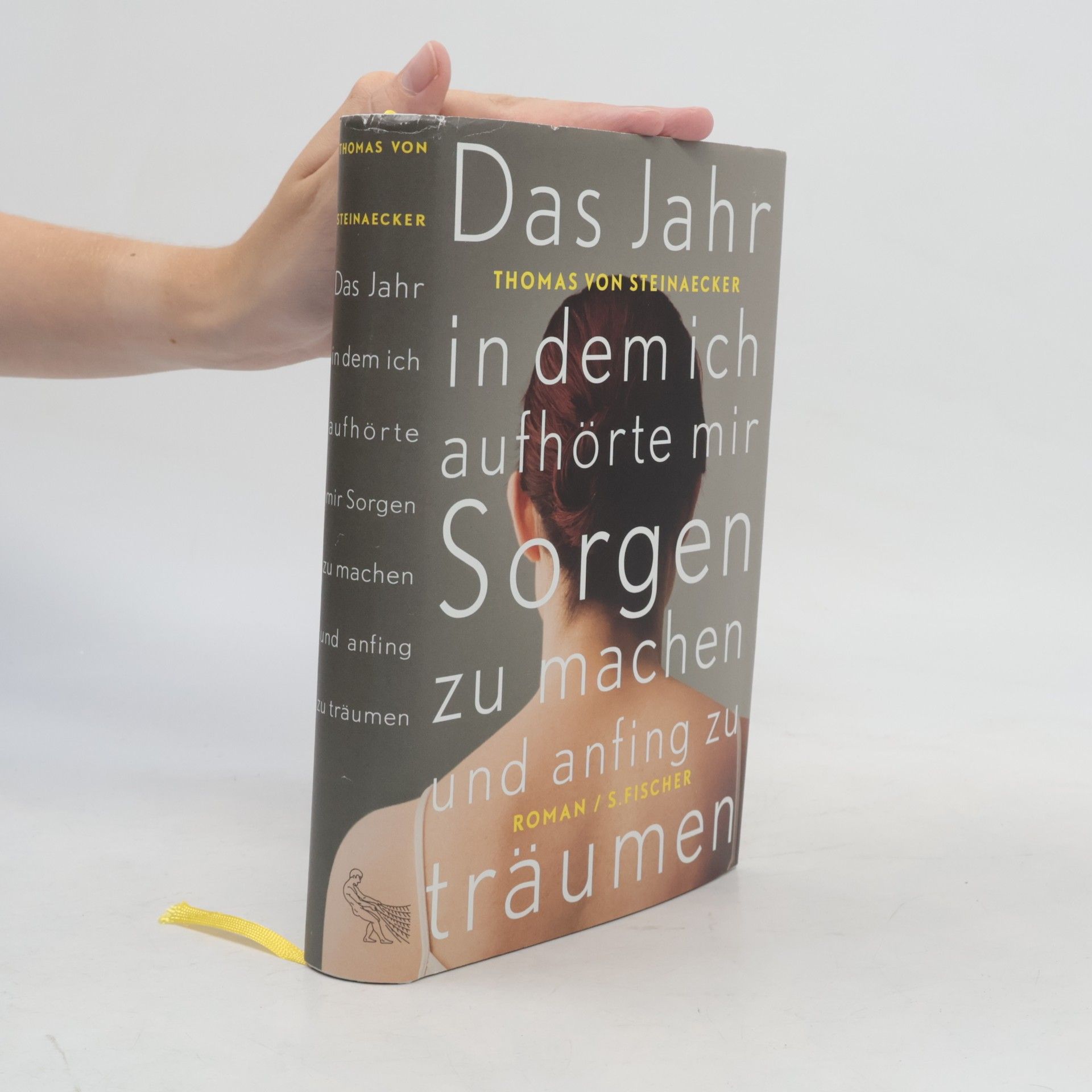 Thomas von Steinaecker Das Jahr, in dem ich aufhörte, mir Sorgen zu machen, und anfing zu träumen