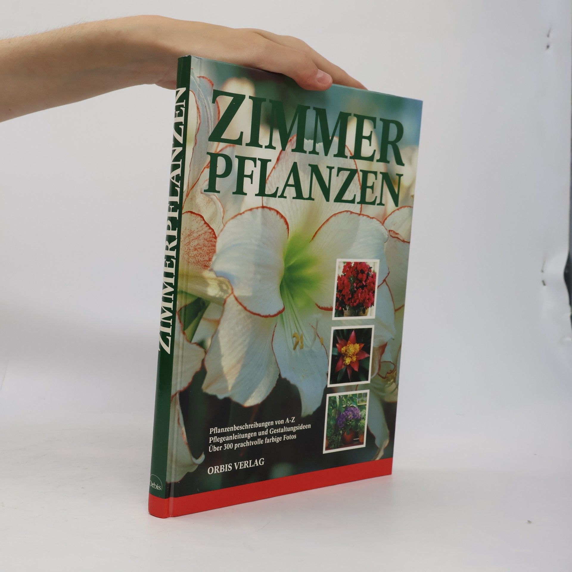 Hans Hecht Zimmerpflanzen