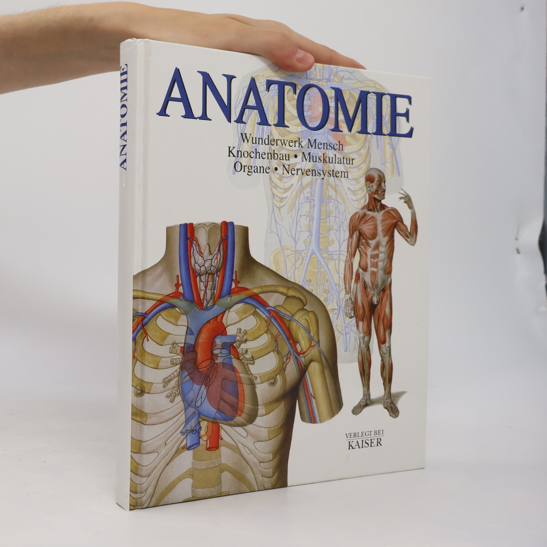 Carmen Schöninger Anatomie
