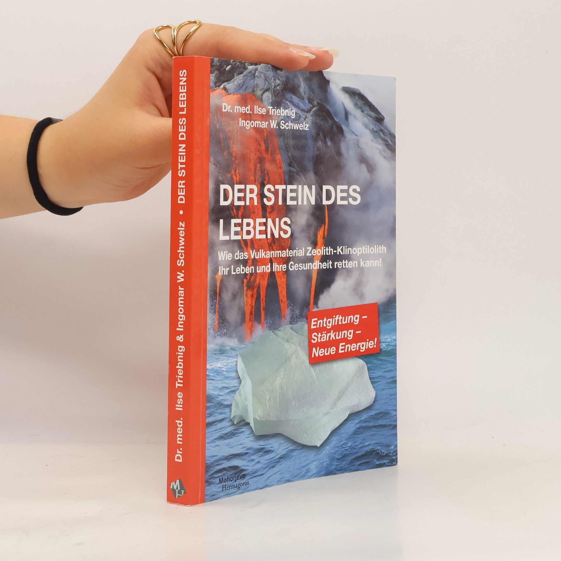 Ilse Triebnig Der Stein des Lebens