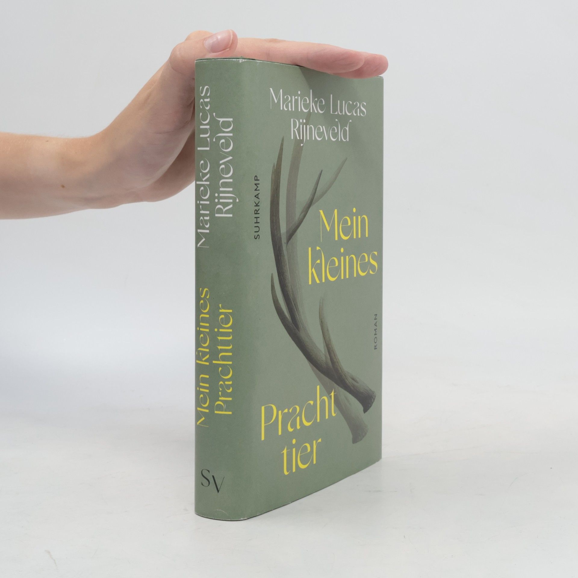 Marieke Lucas Rijneveld Mein kleines Prachttier