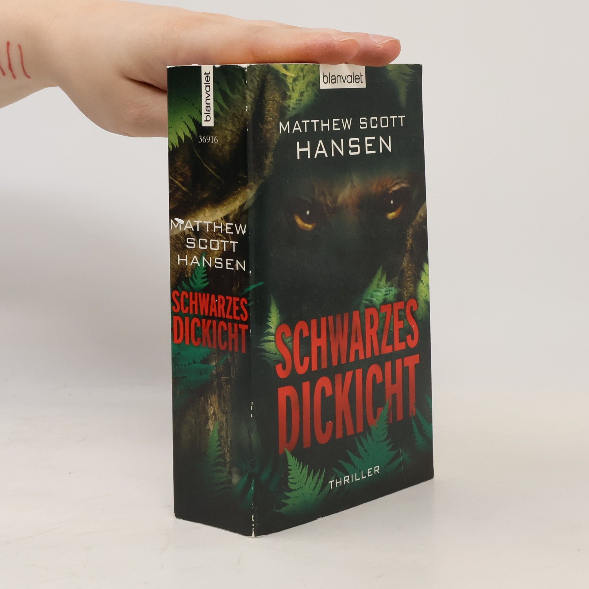 Matthew Scott Hansen Schwarzes Dickicht