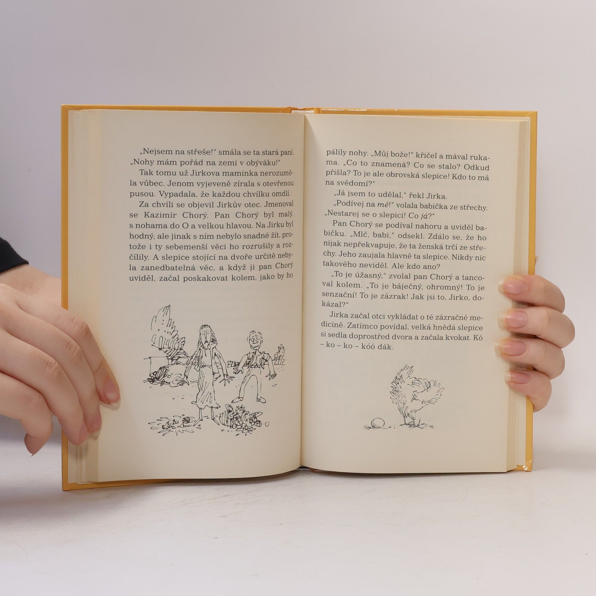 Roald Dahl Jirkova zázračná medicína