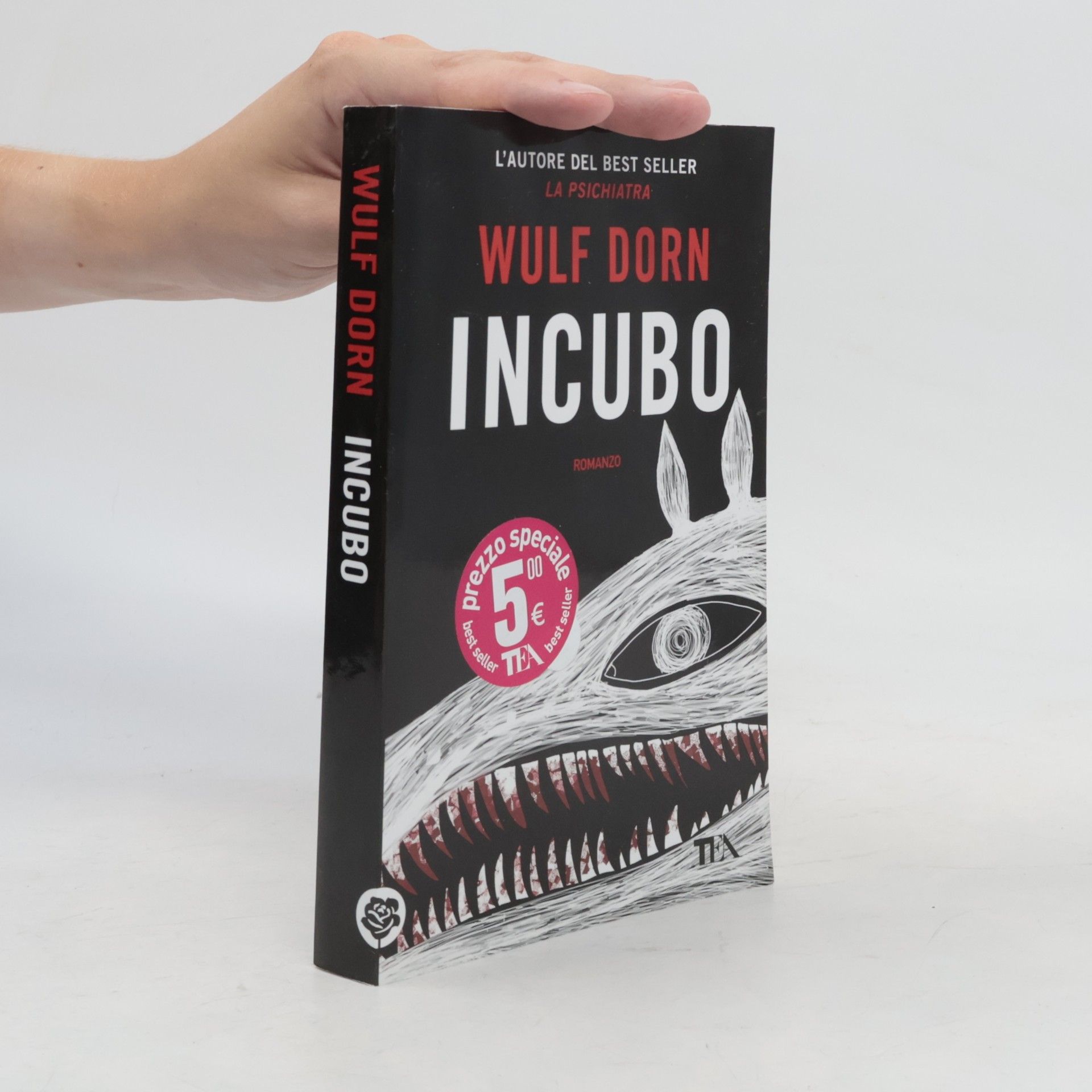Wulf Dorn Incubo