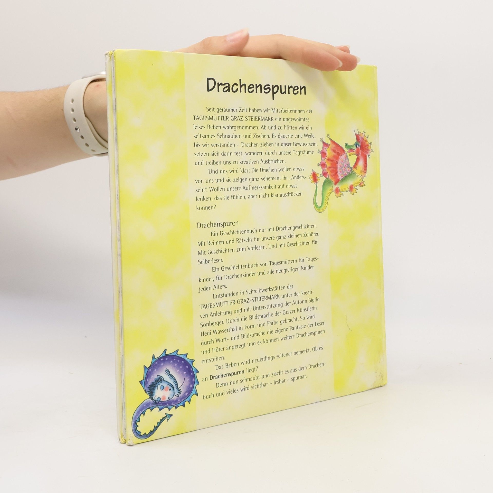 Hedi Wasserthal Drachenspuren