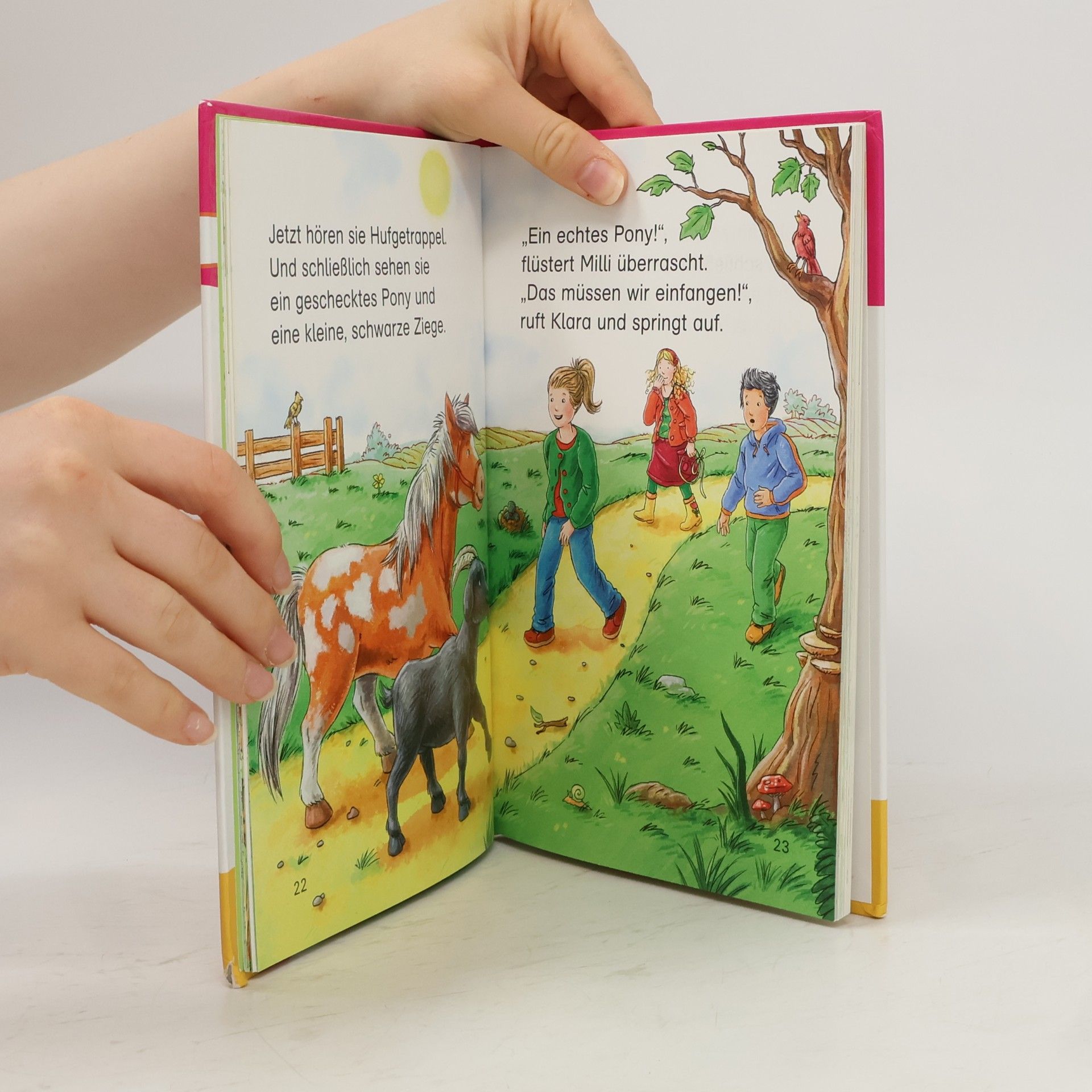 Various authors Geschichten für Mädchen zum Lesenlernen