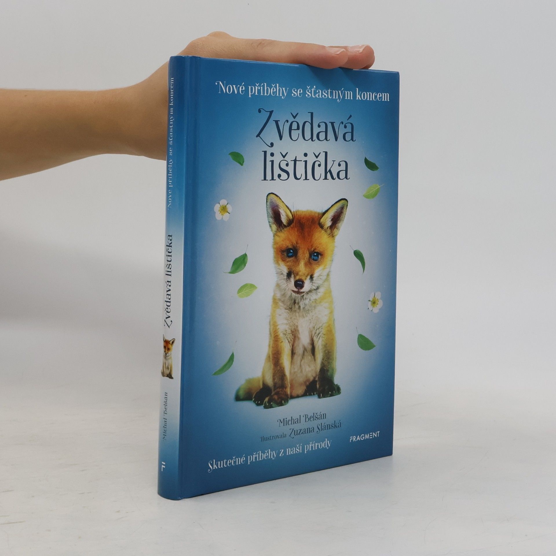 Zvědavá lištička