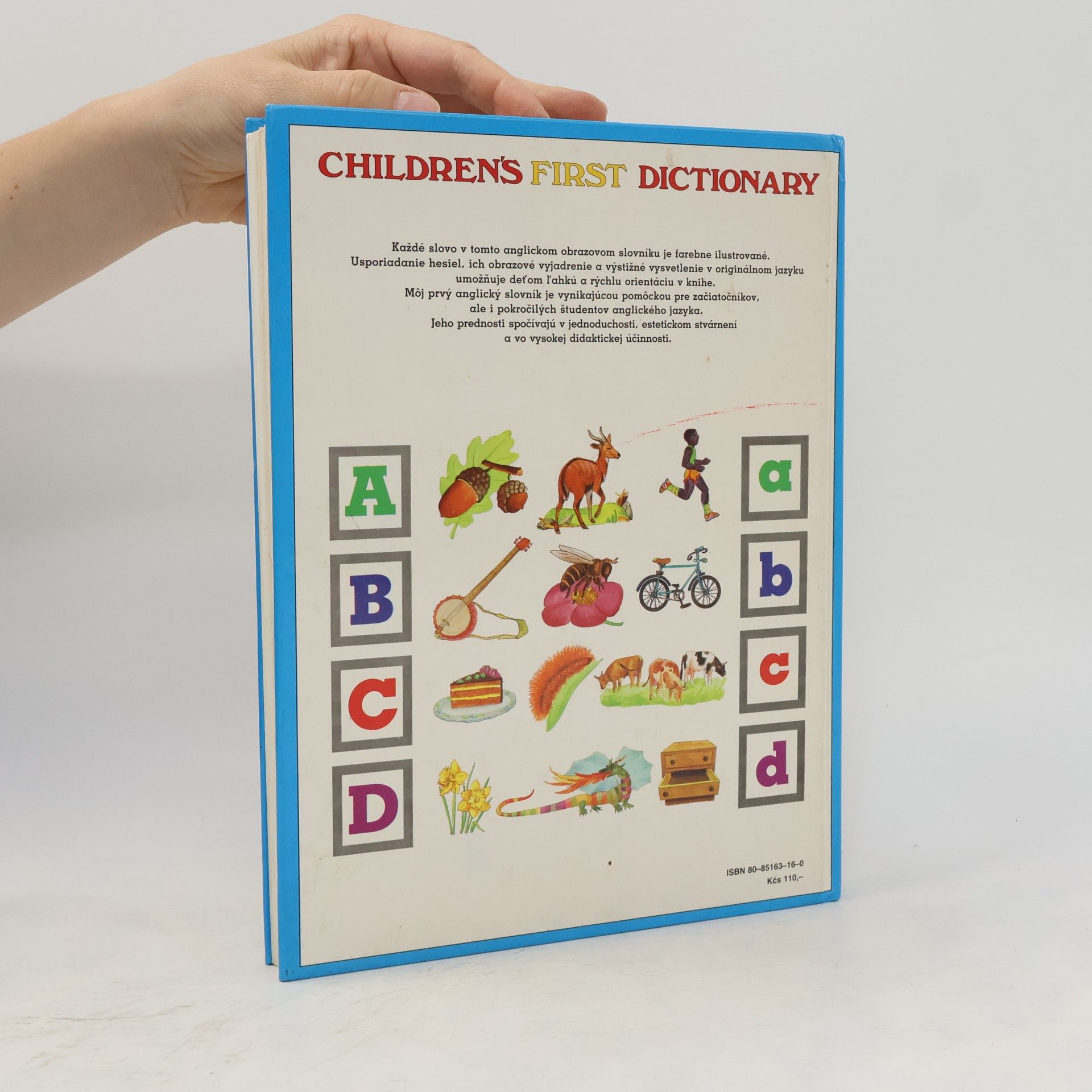 Autorenkollektiv Children's First Dictionary