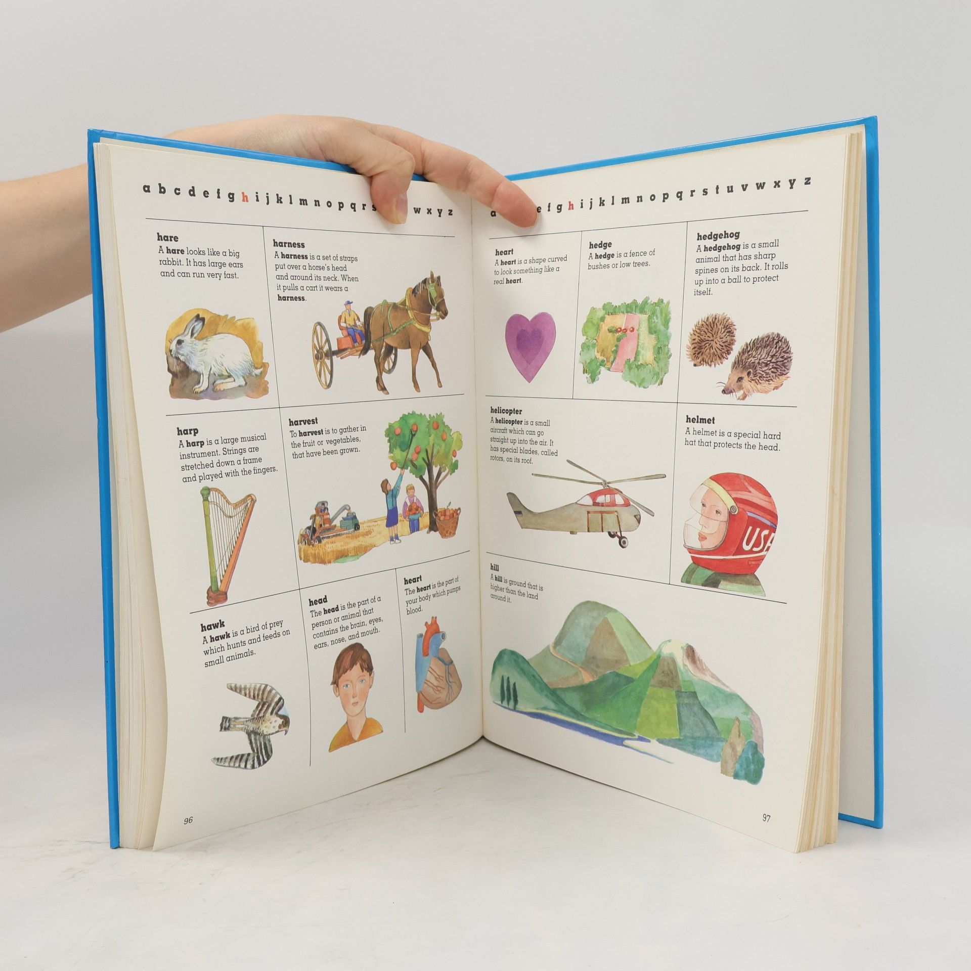 Autorenkollektiv Children's First Dictionary